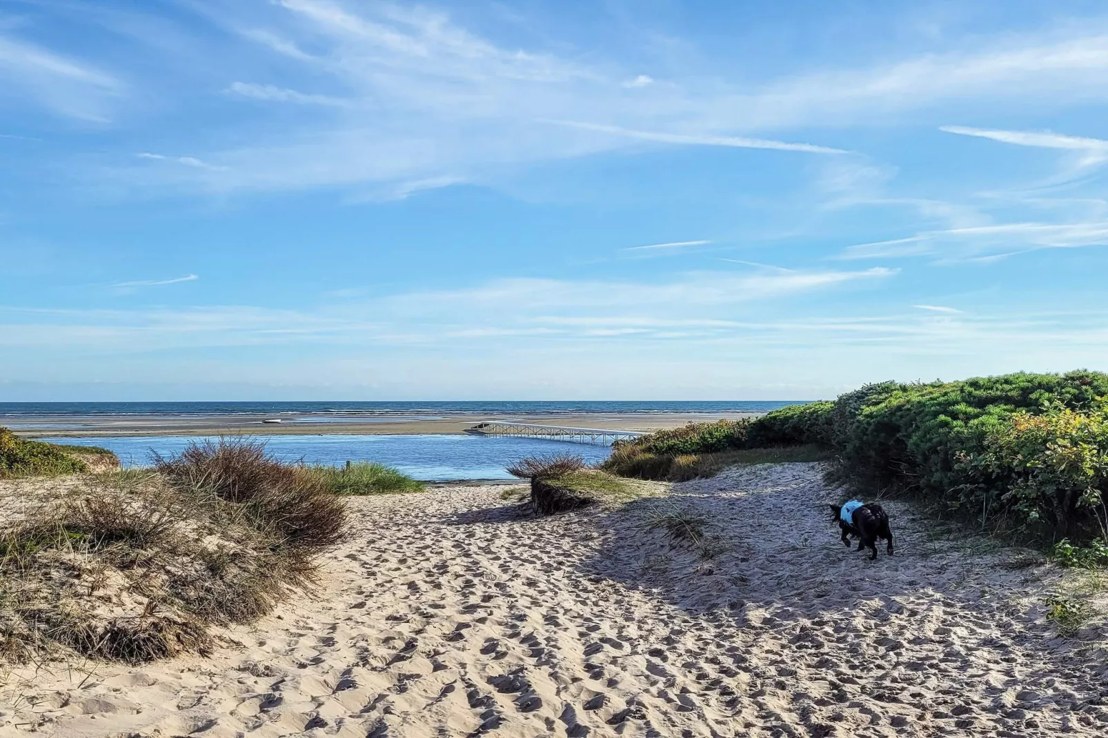 8 persoons vakantie huis in Væggerløse-Waterzicht