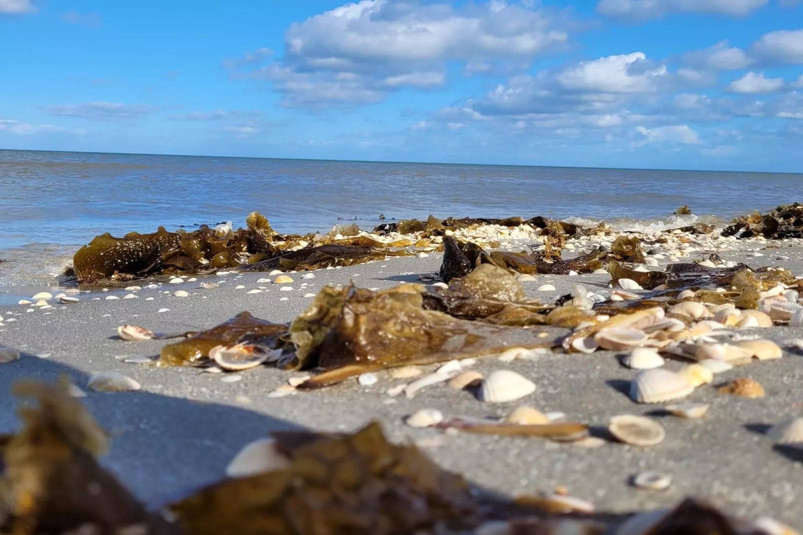 5-persoons vakantiehuis in Sæby-Waterzicht