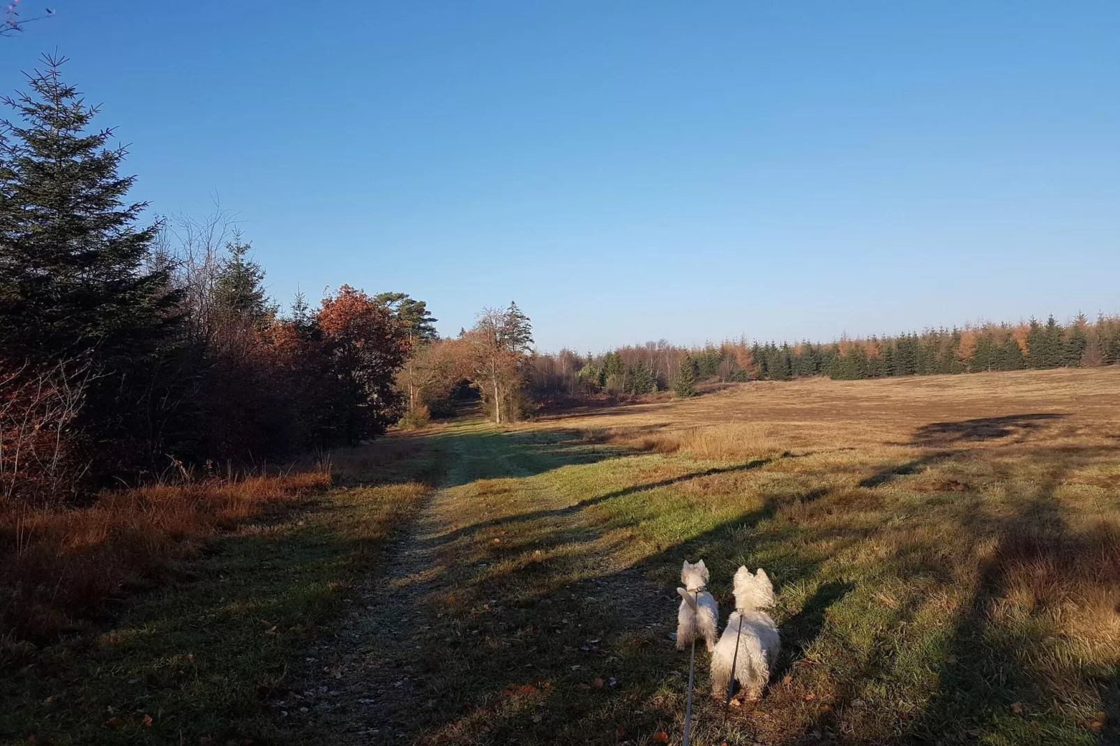 6 persoons vakantie huis in Toftlund-By Traum-Niet-getagd