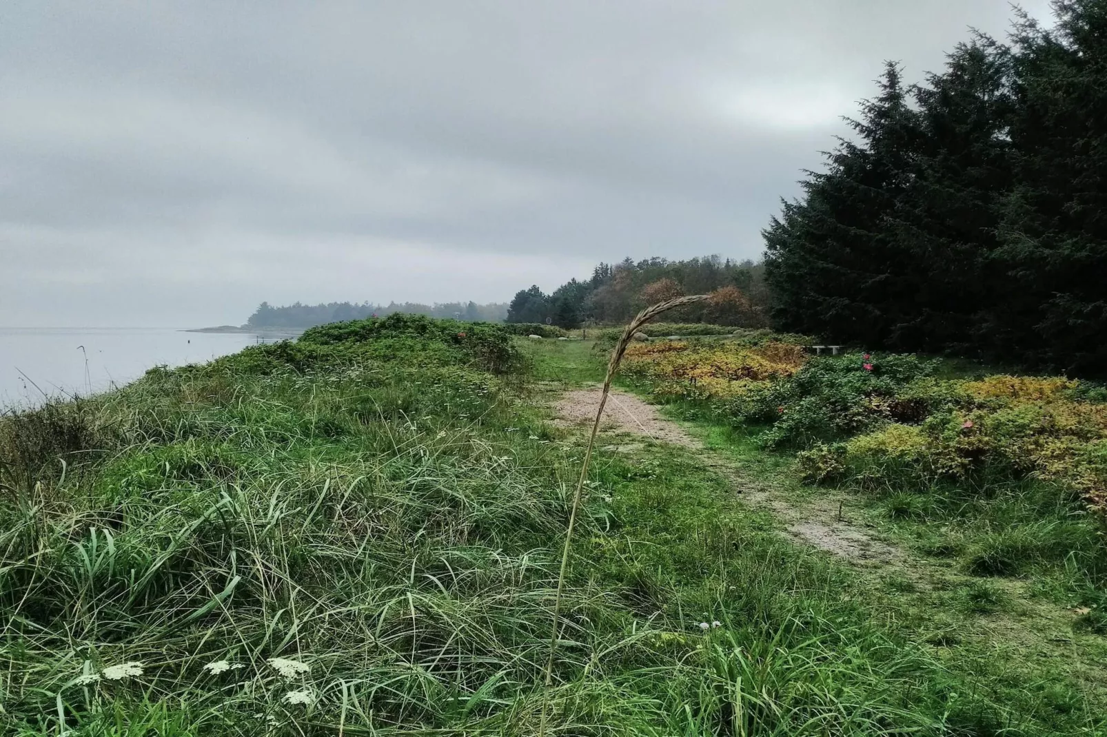 8 persoons vakantie huis in Thyholm-By Traum-Niet-getagd