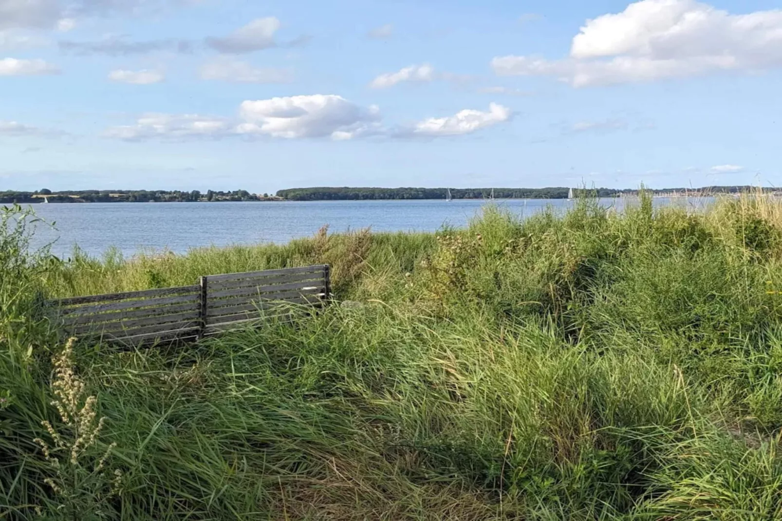 Luxe zwembad retraite in Kegnaes -- By Traum Ferienwohnungen-Waterzicht