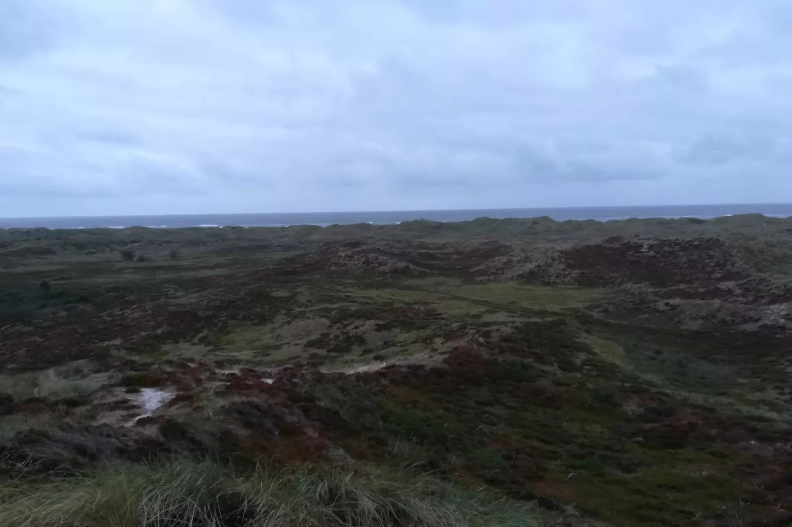 6 persoons vakantie huis in Oksbøl-By Traum-Niet-getagd