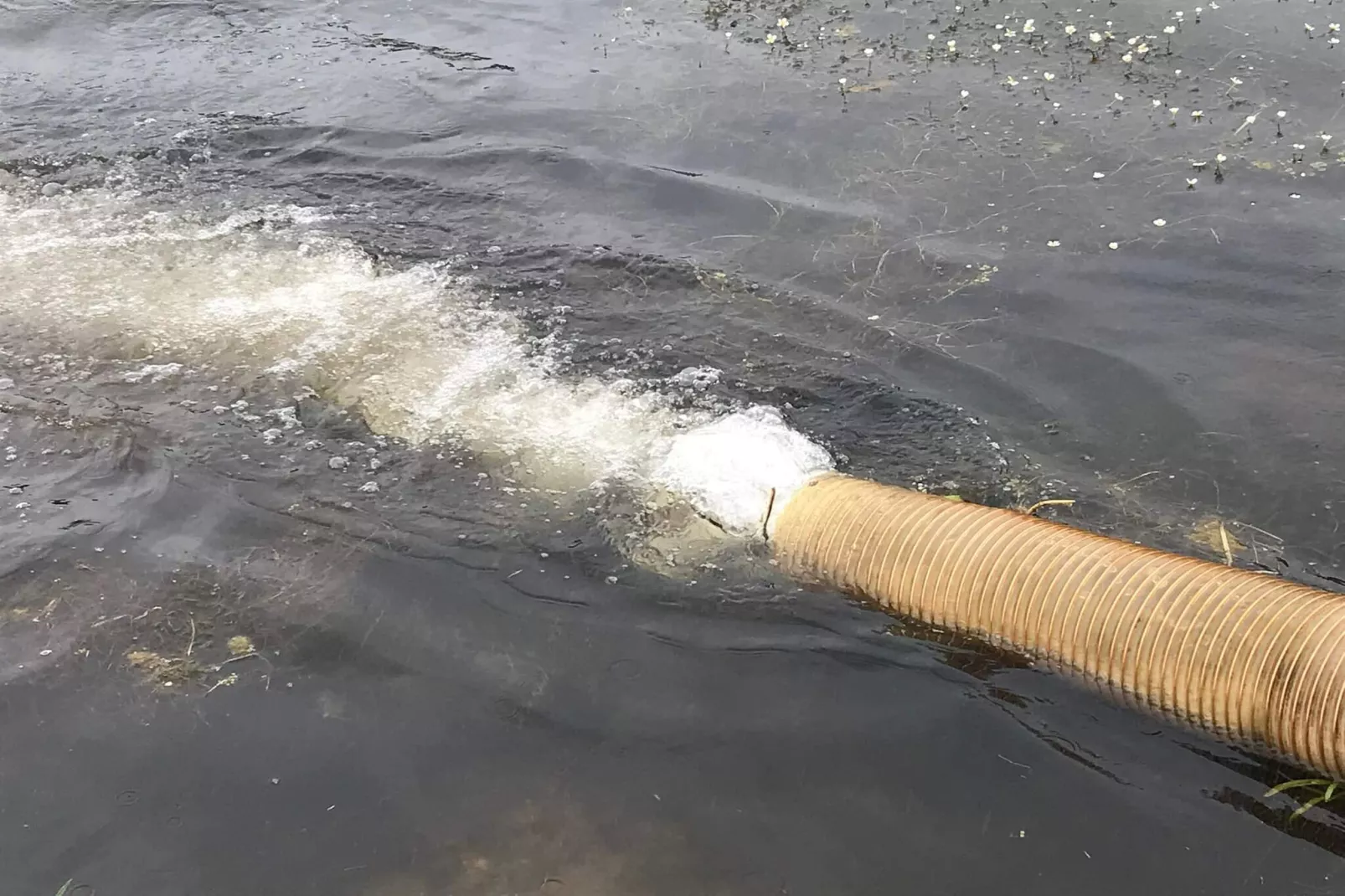 8 persoons vakantie huis in Skals-Waterzicht