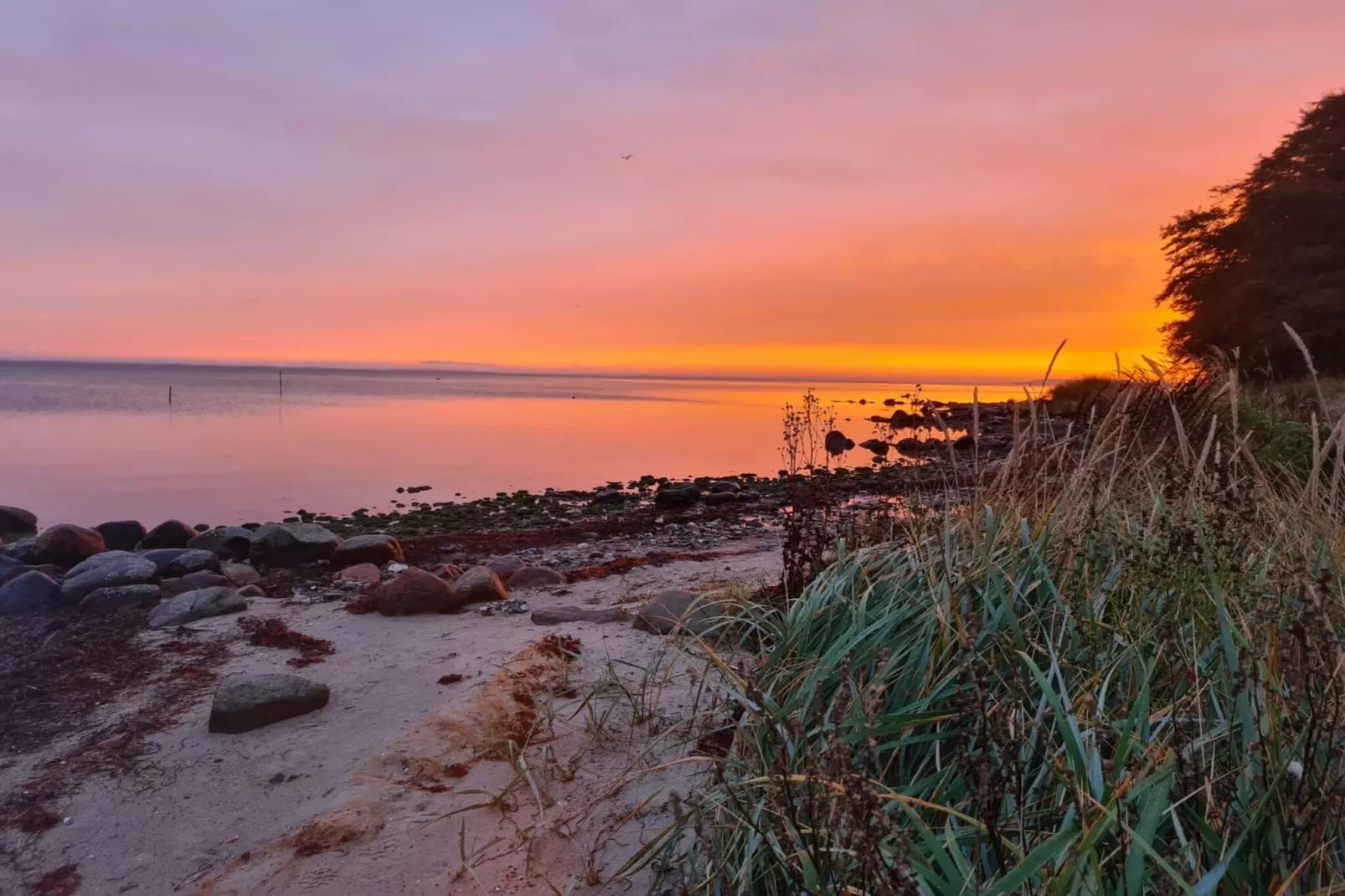 5 persoons vakantie huis in Hejls-By Traum-Waterzicht