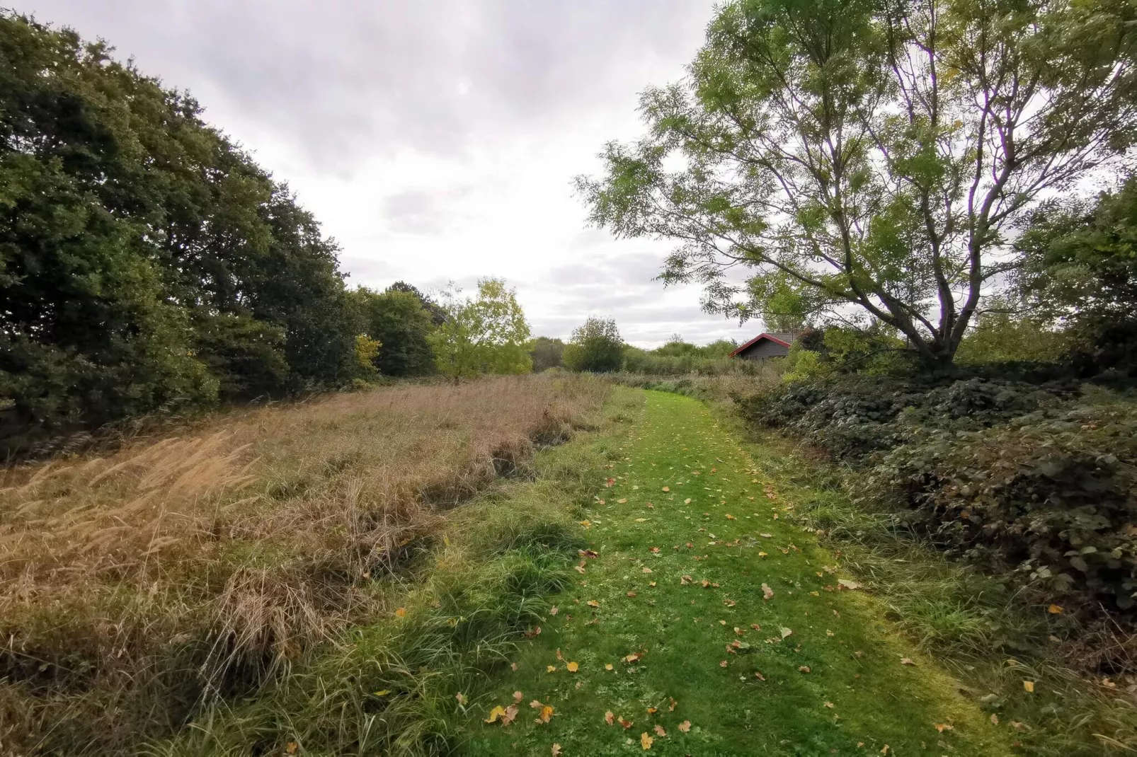 6 persoons vakantie huis in Dannemare-By Traum-Niet-getagd