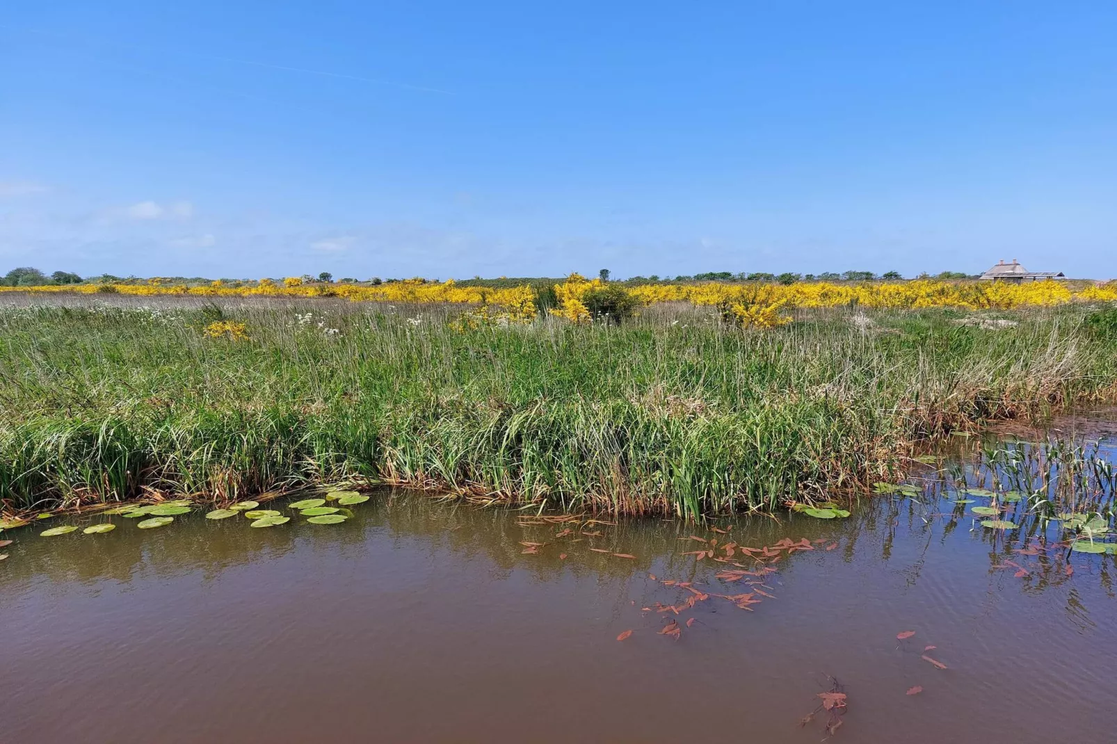 6 persoons vakantie huis in Hemmet-By Traum-Waterzicht
