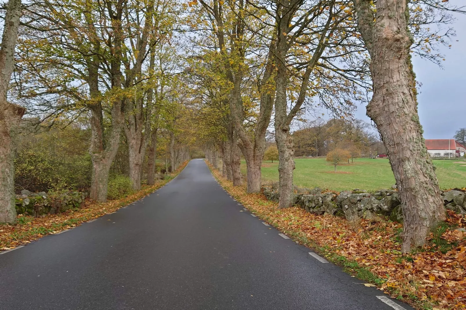 4 persoons vakantie huis in EVERÖD-By Traum-Niet-getagd