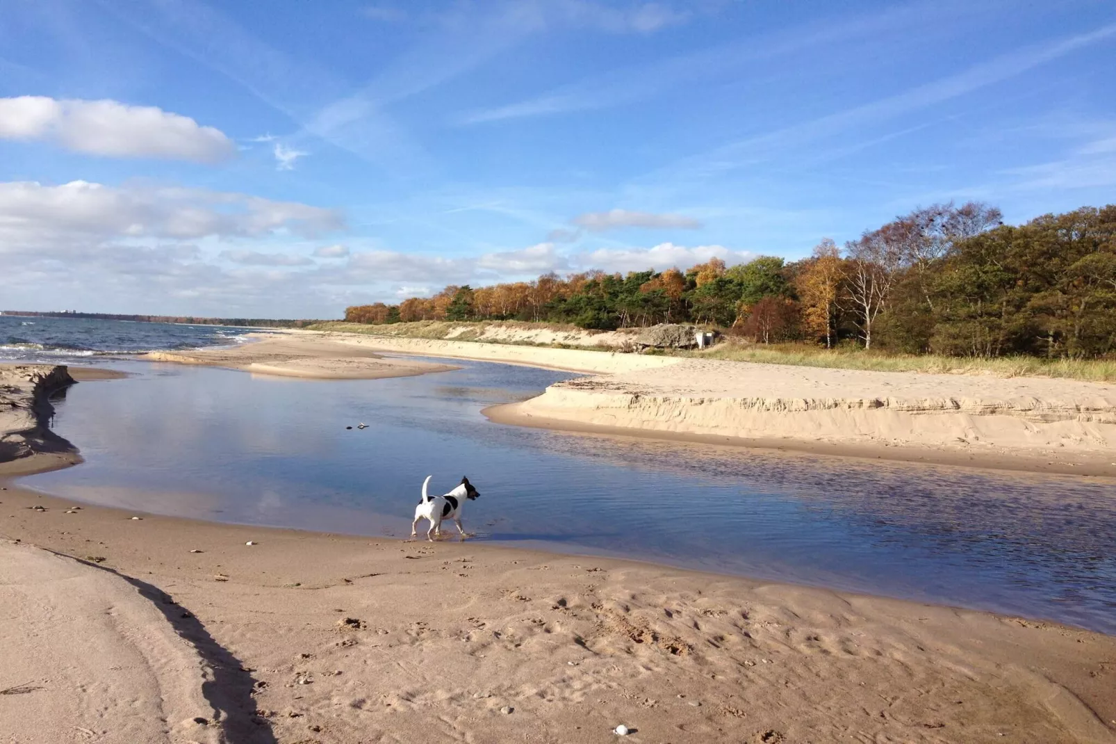4 persoons vakantie huis in YSTAD-By Traum-Waterzicht