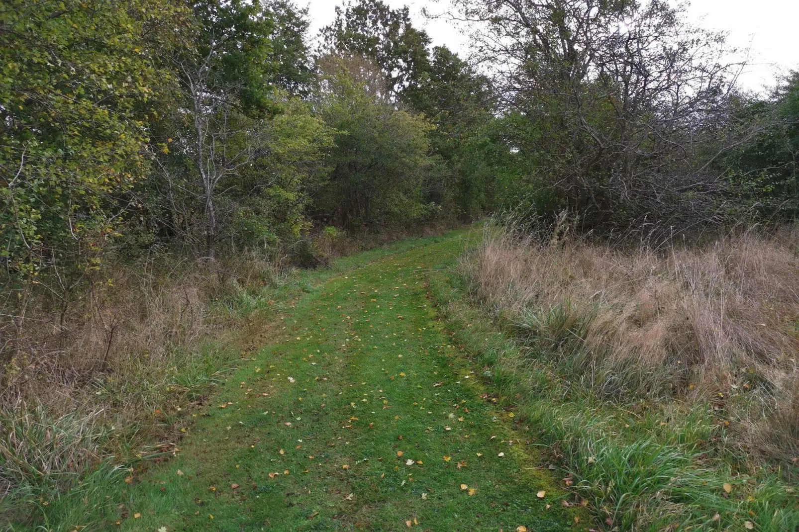 8 persoons vakantie huis in Dannemare-Niet-getagd