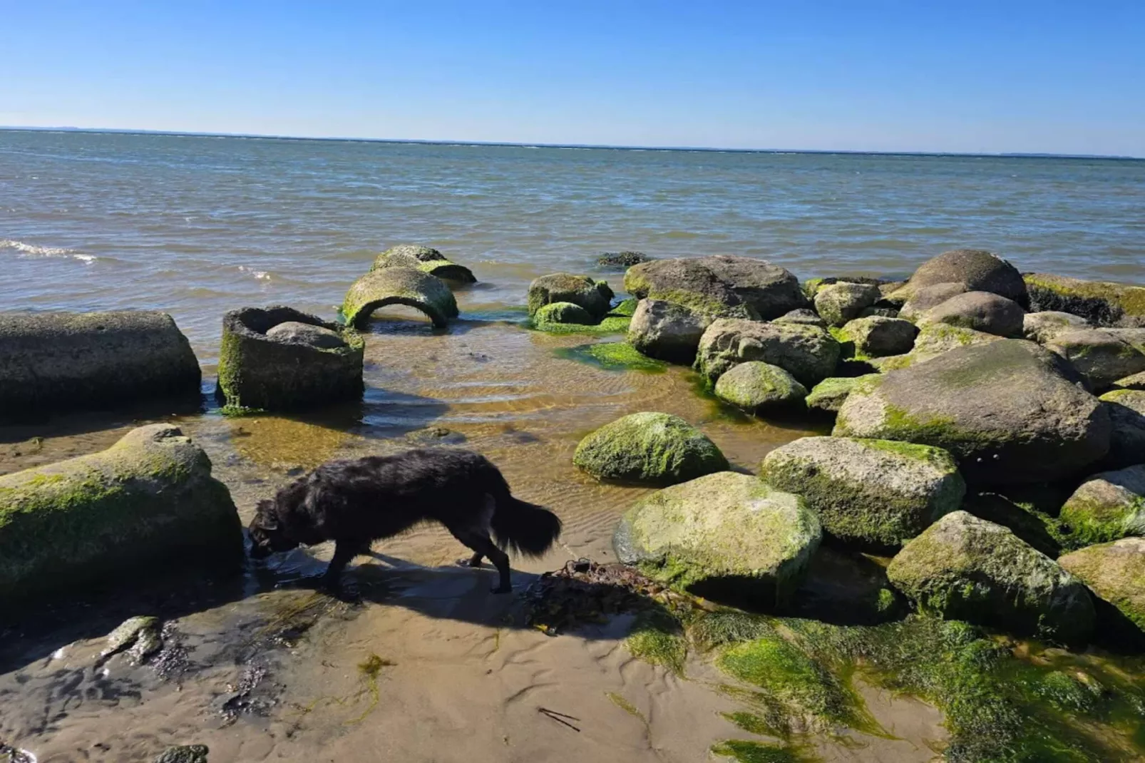 Familieplezier aan zee -- By Traum Ferienwohnungen-Waterzicht