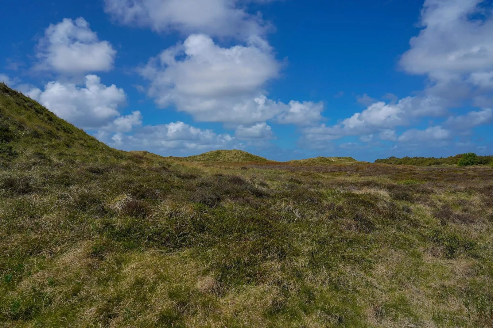 Afgelegen jaren 60 huisje -- By Traum Ferienwohnungen-Niet-getagd