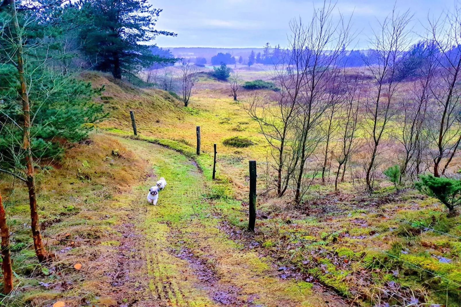 6 persoons vakantie huis in Fjerritslev-By Traum-Niet-getagd