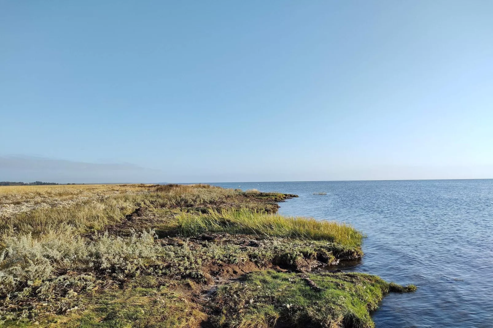 Rustig toevluchtsoord nabij strand -- By Traum Ferienwohnungen-Waterzicht