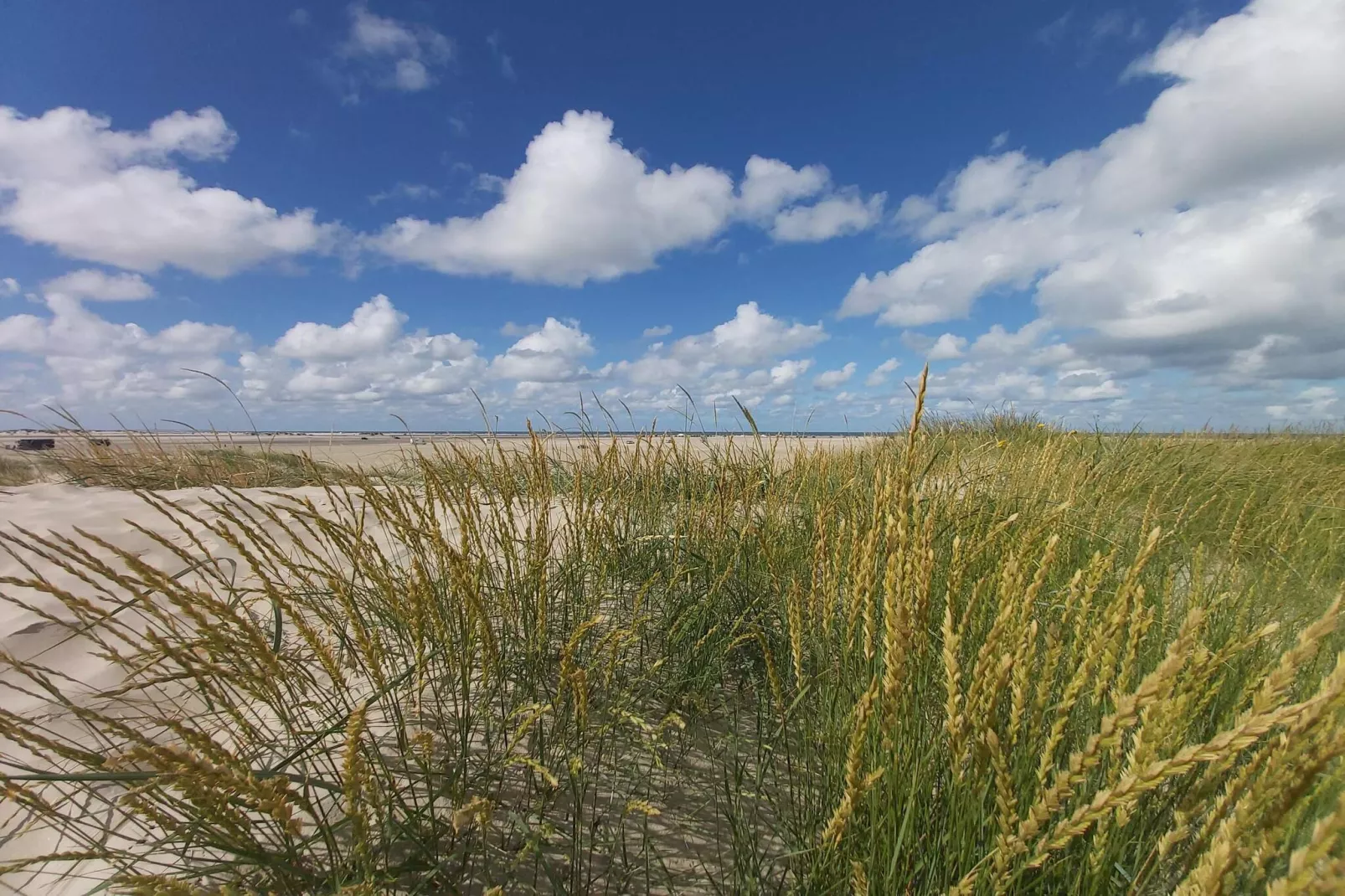 Strandplezier in Lakolk -- By Traum Ferienwohnungen-Niet-getagd