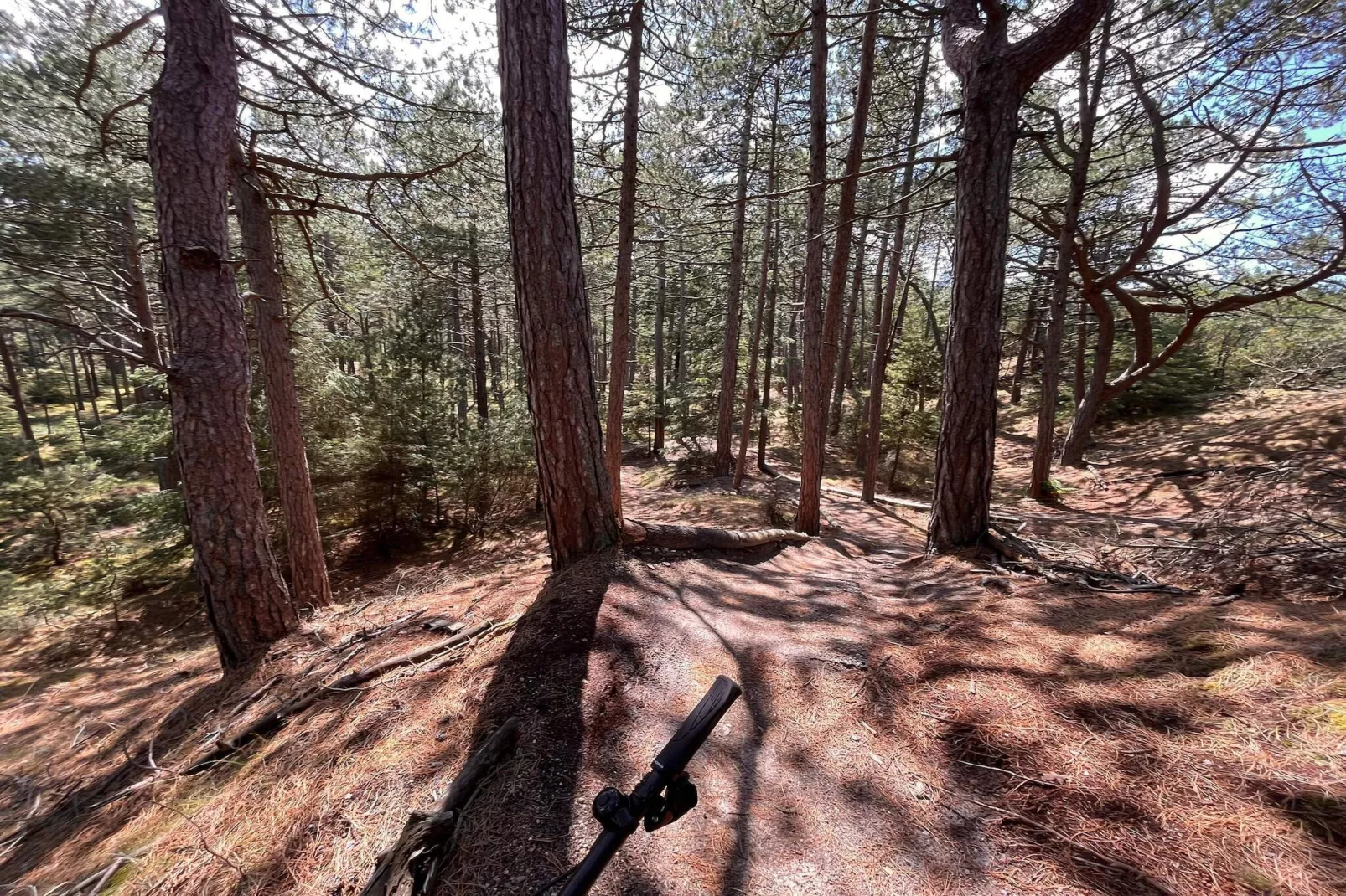 6 persoons vakantie huis in Oksbøl-Niet-getagd