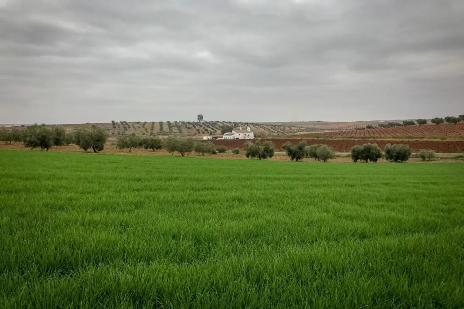 Villapark Ehzerburg 1-Gebieden zomer 20km
