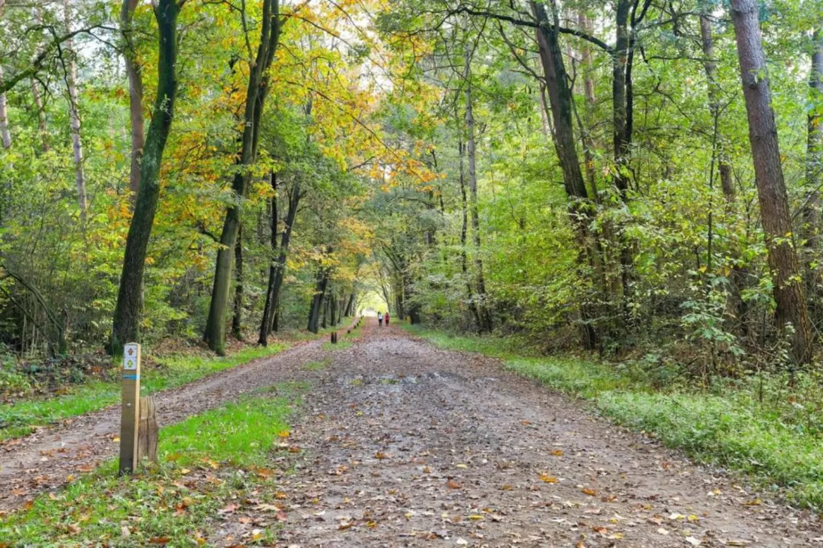 Bospark Markelo 3-Gebieden zomer 20km