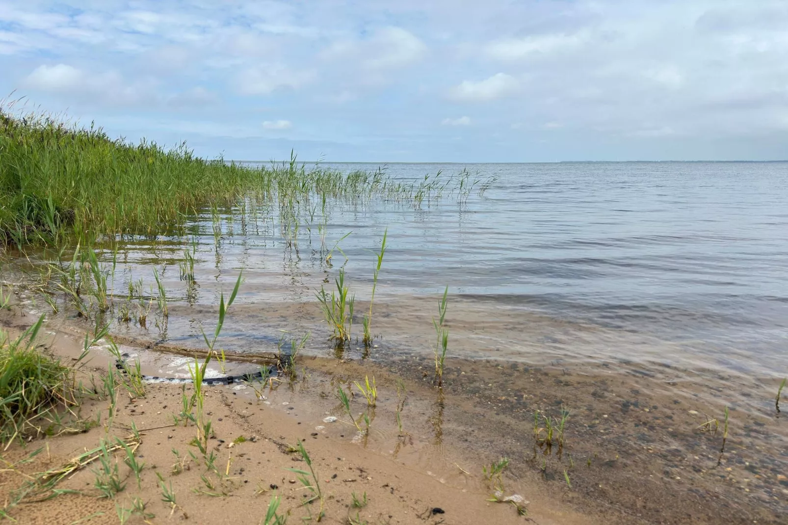 Idyllisch natuurlijk toevluchtsoord -- By Traum Ferienwohnungen-Waterzicht