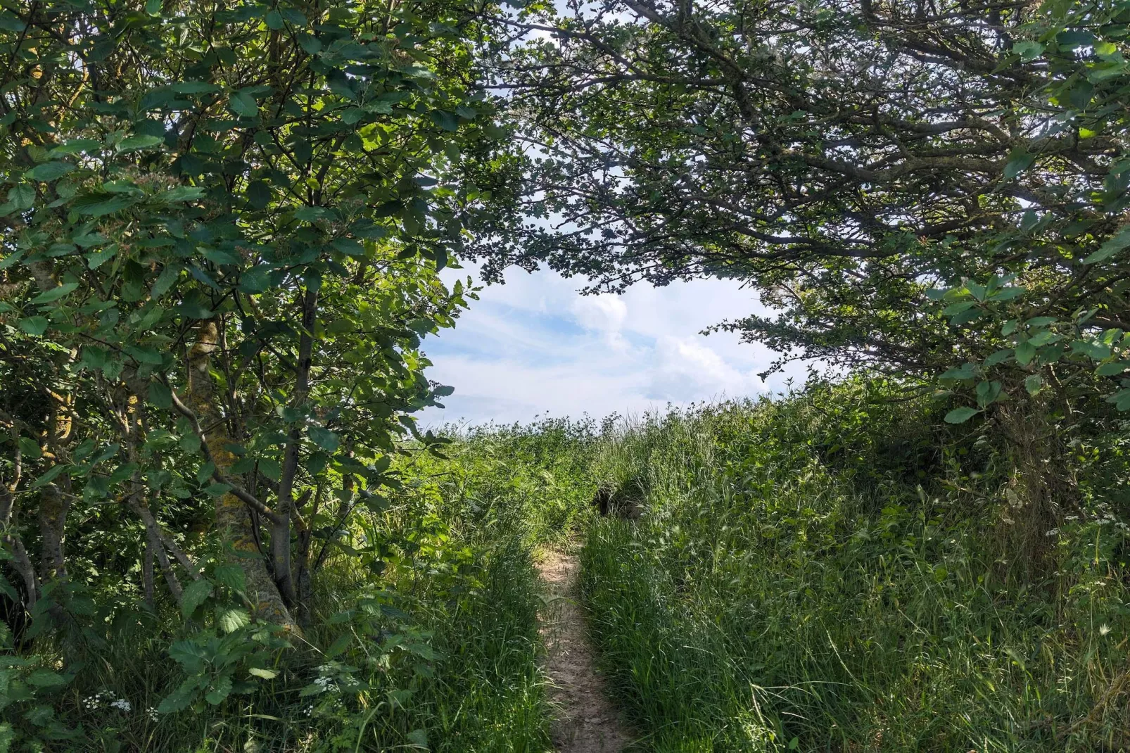 9 persoons vakantie huis in Humble-By Traum-Waterzicht