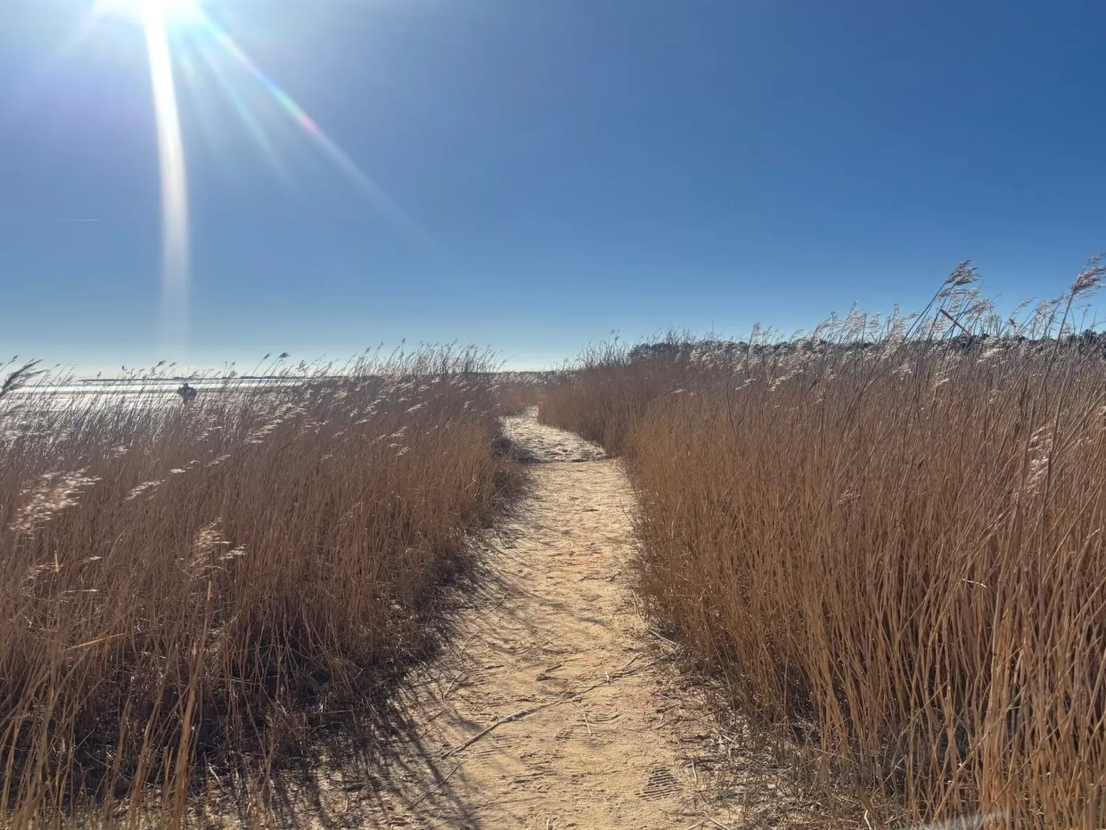 "Andriette" - 4.5km from the sea-Buiten