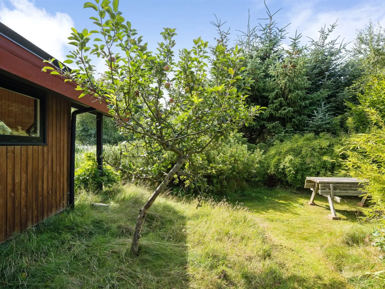 "Sune" - 500m from the sea-Buiten