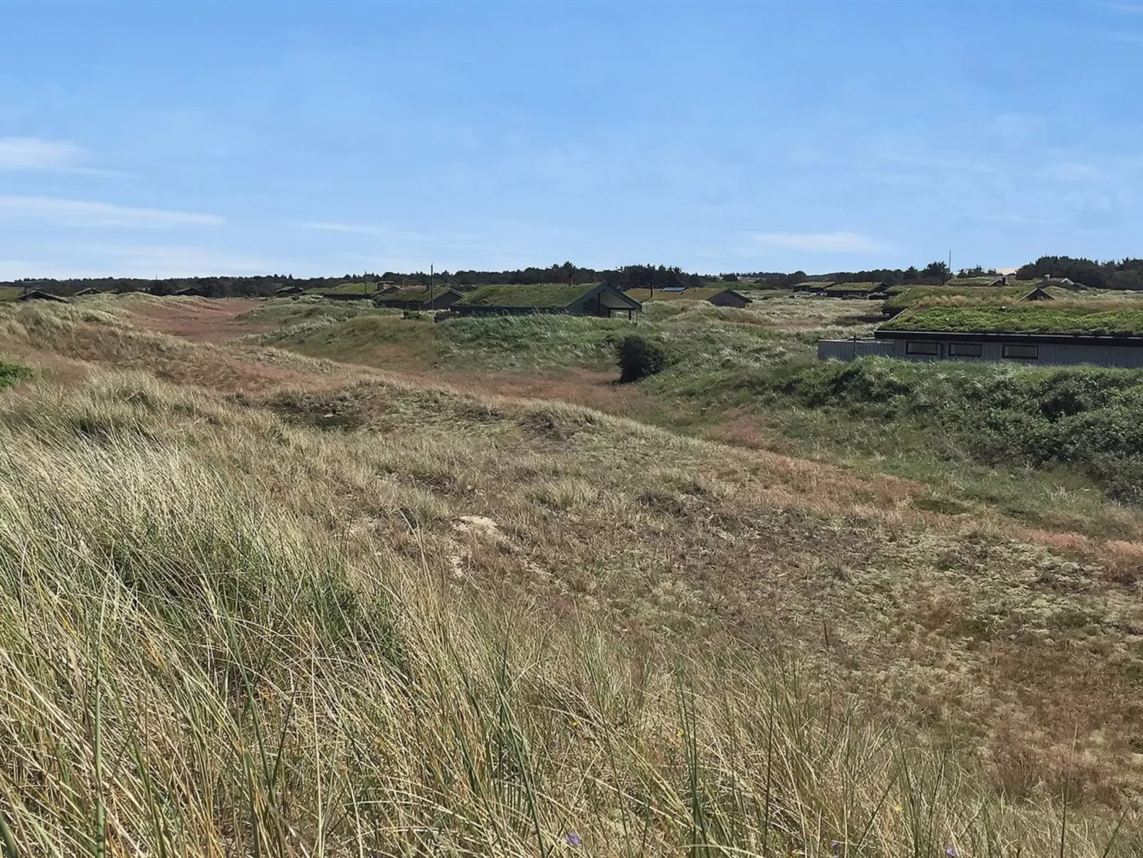 "Gerulf" - 600m from the sea-Buiten