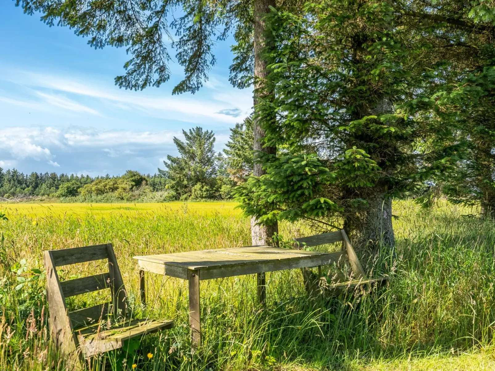 "Engelina" - 1.3km from the sea-Buiten