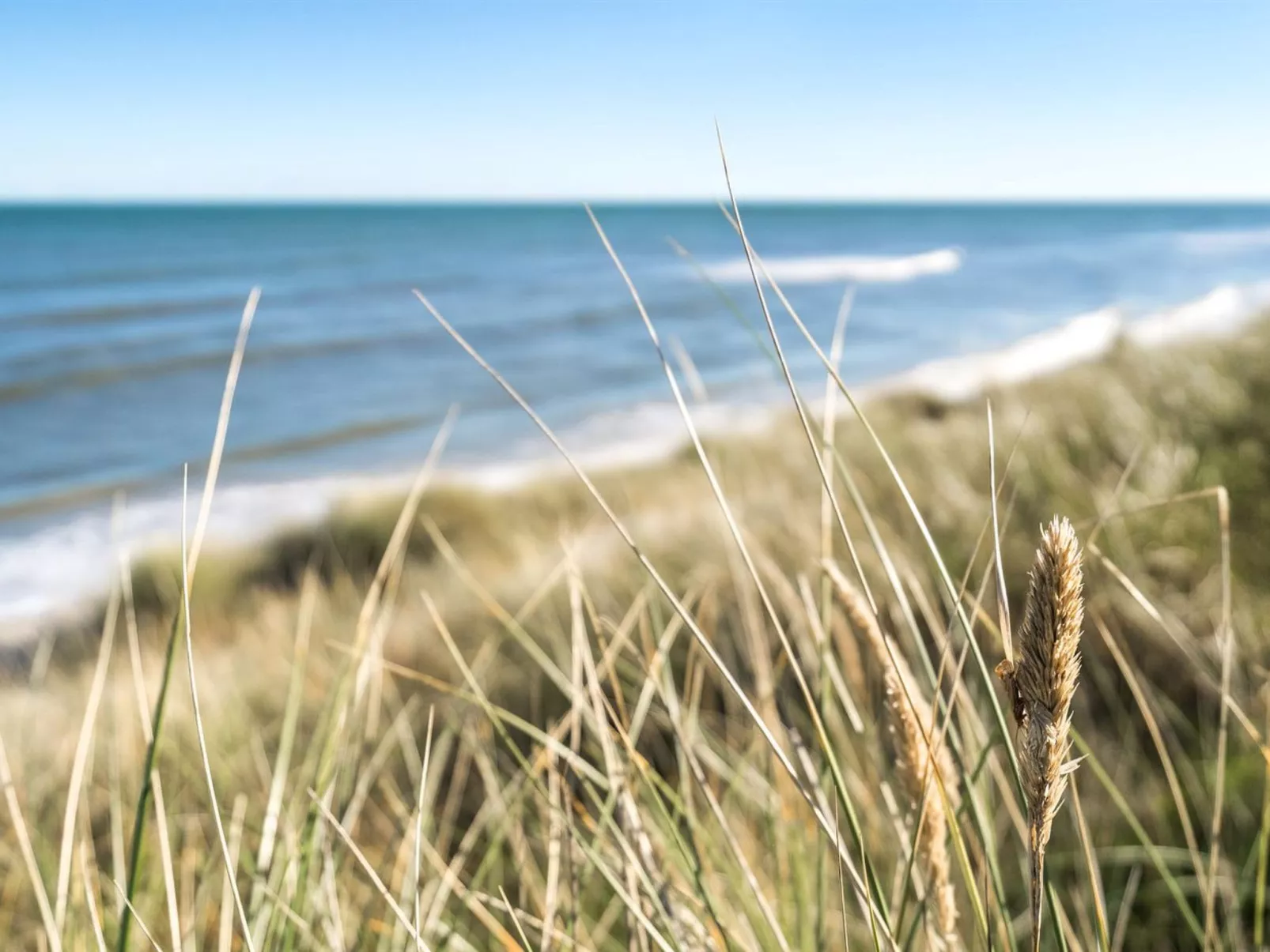 "Jeldrik" - 100m from the sea-Buiten
