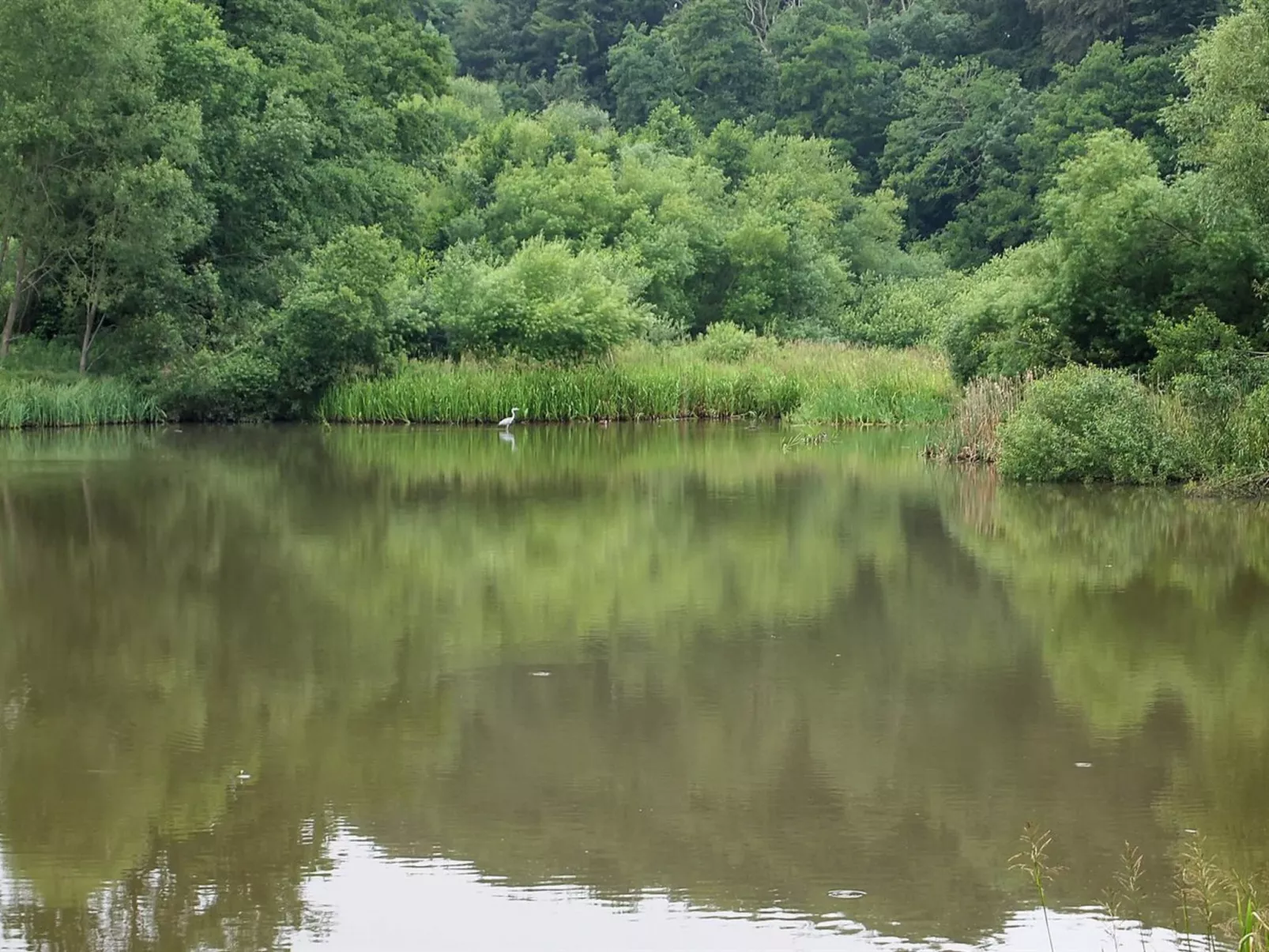 "Iorund" - 550m from the sea-Buiten