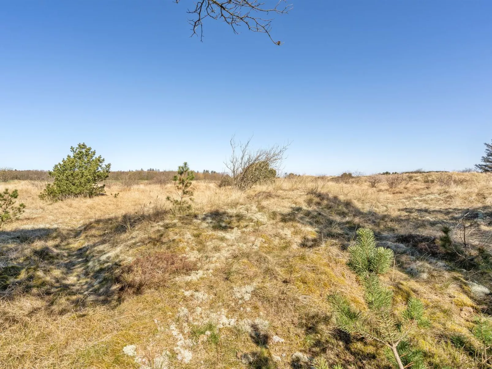 "Ødke" - 3.5km from the sea-Buiten