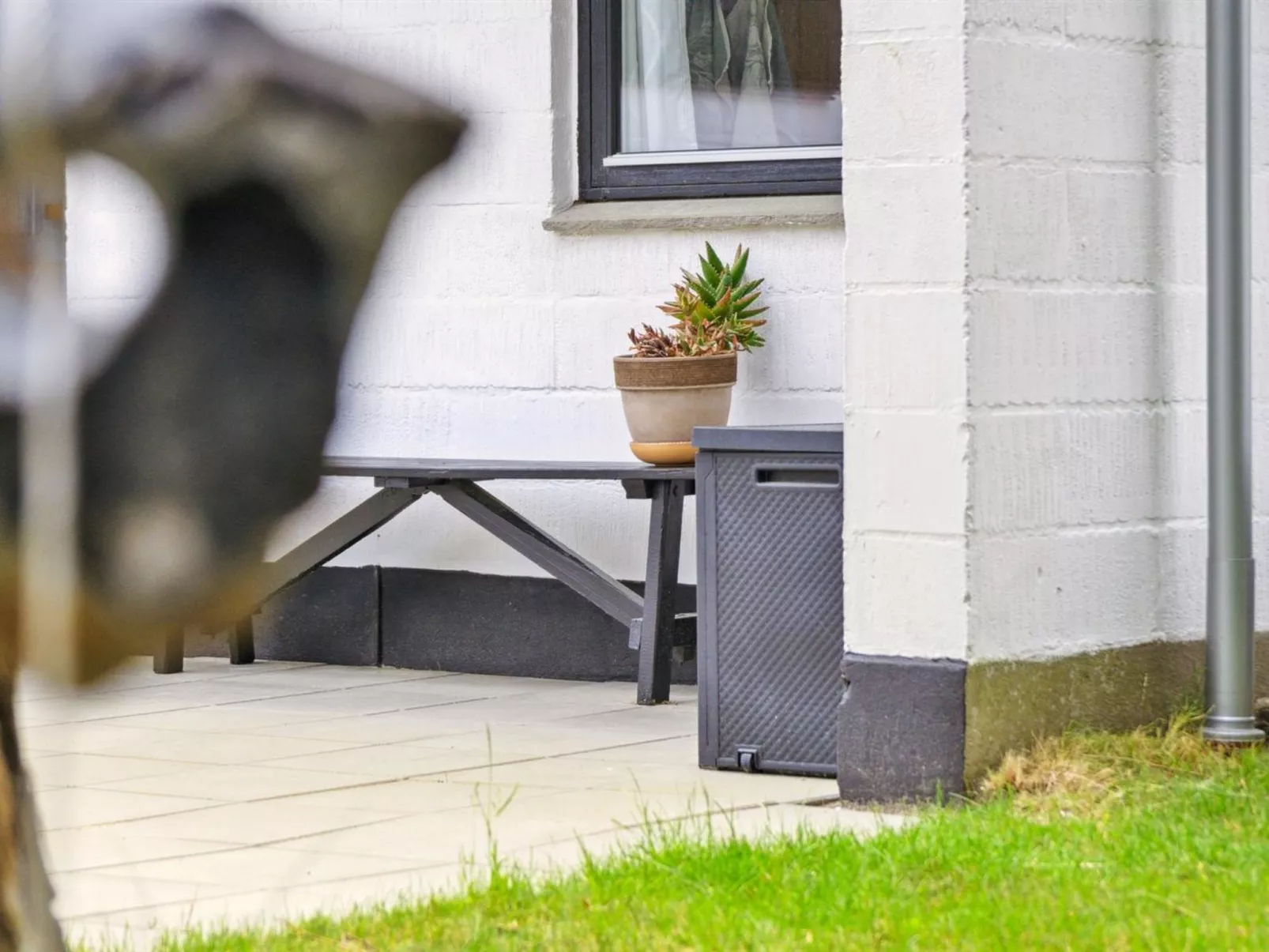 "Wiger" - 150m from the sea-Buiten