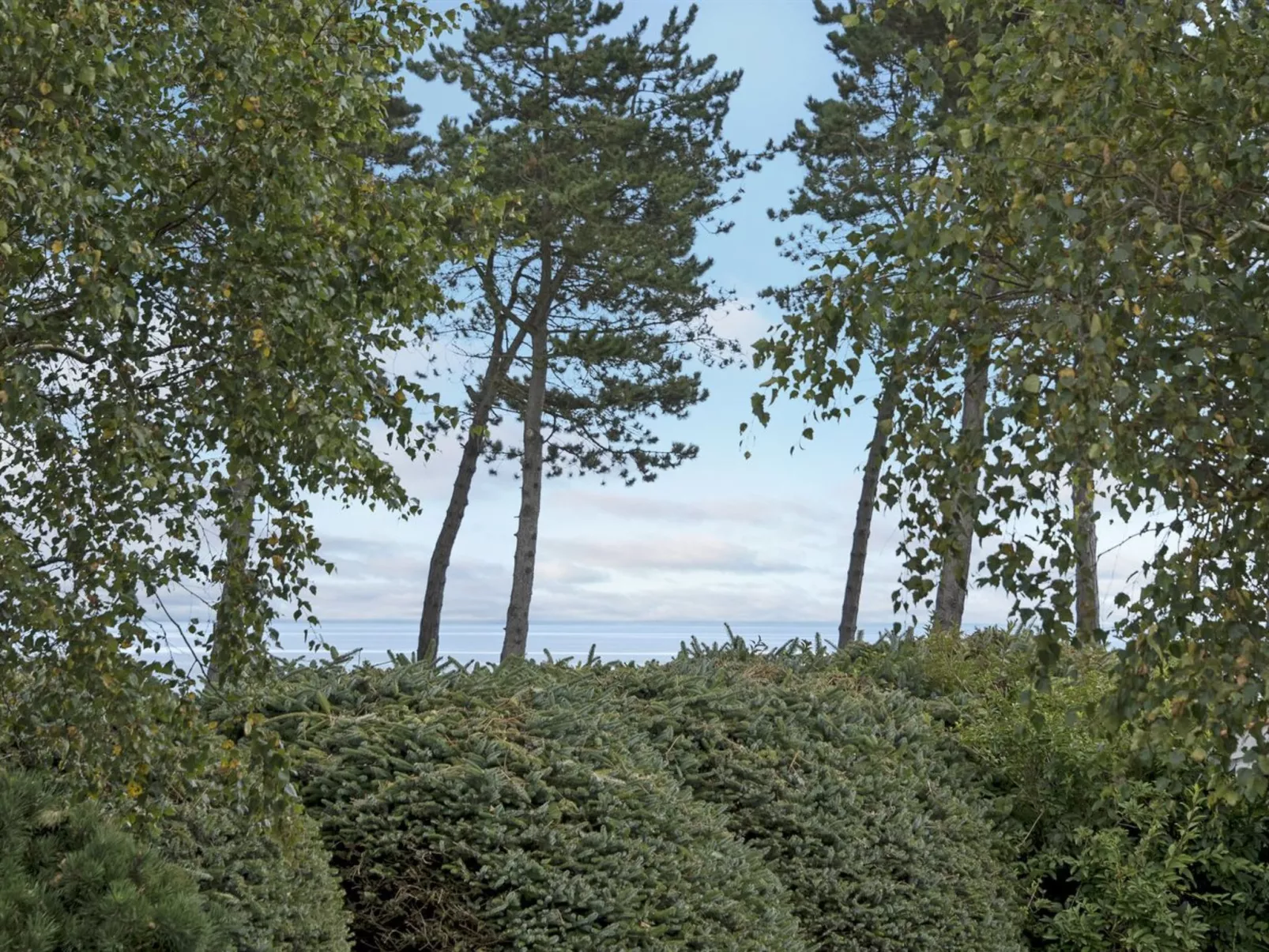 "Stamen" - 200m from the sea-Buiten