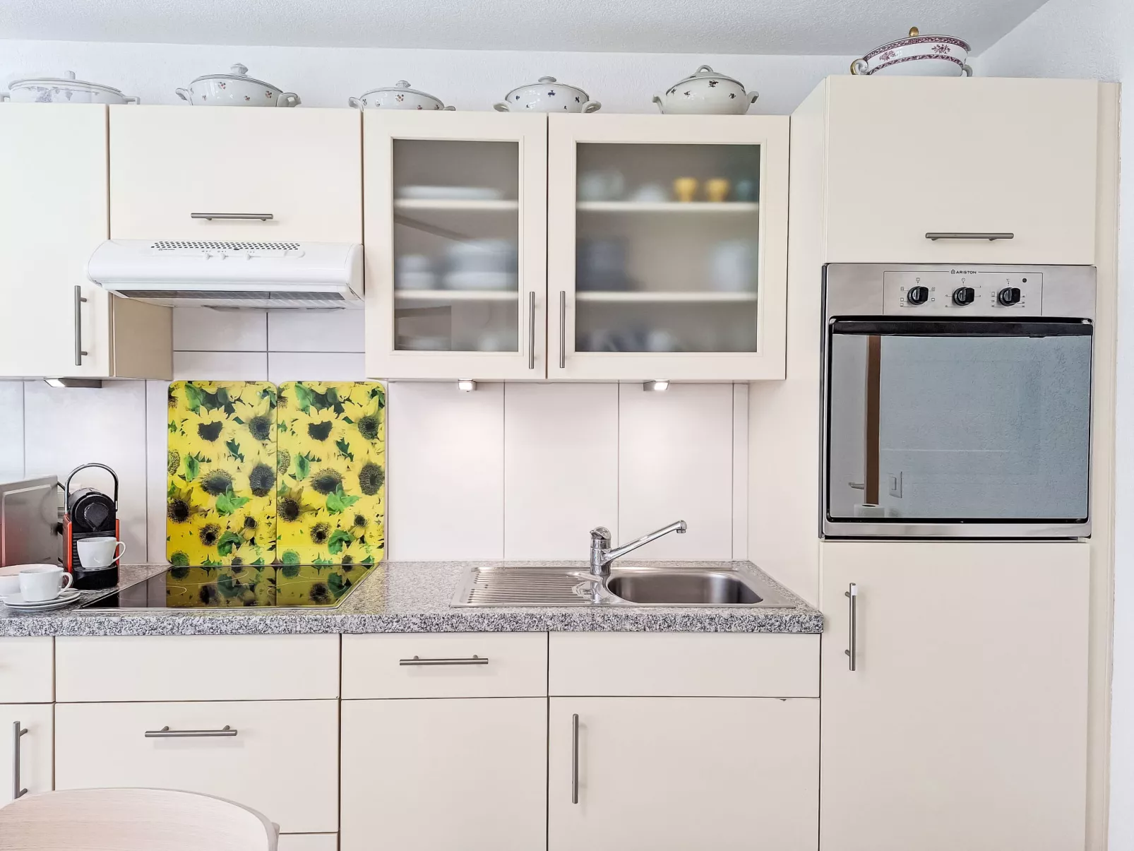 Am Brienzersee-Binnen