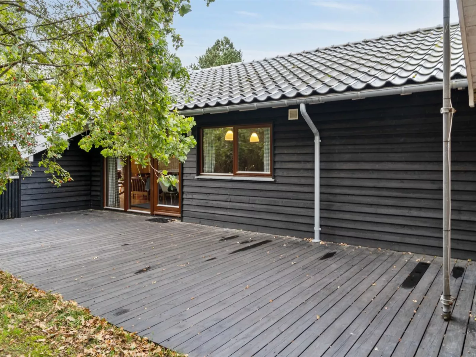 "Wilgrib" - 400m from the sea-Buiten