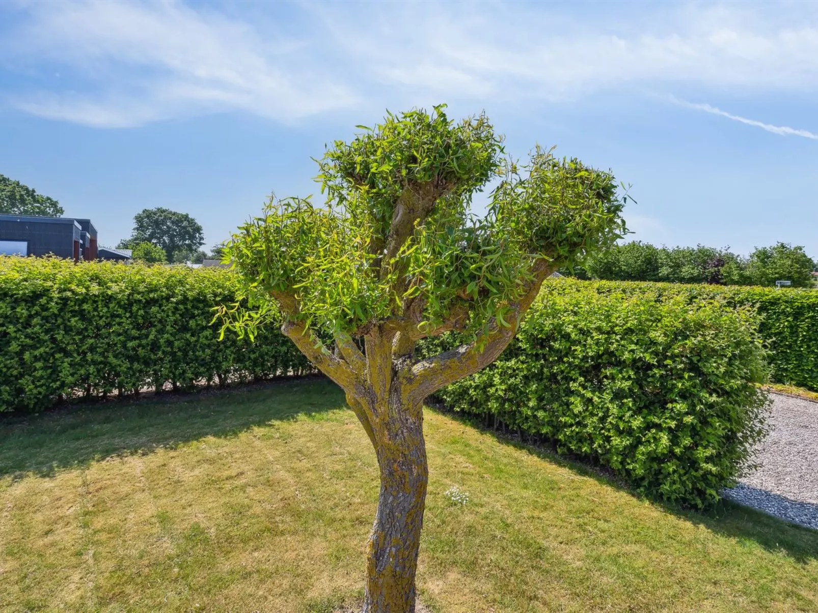 "Inge" - 300m from the sea-Buiten