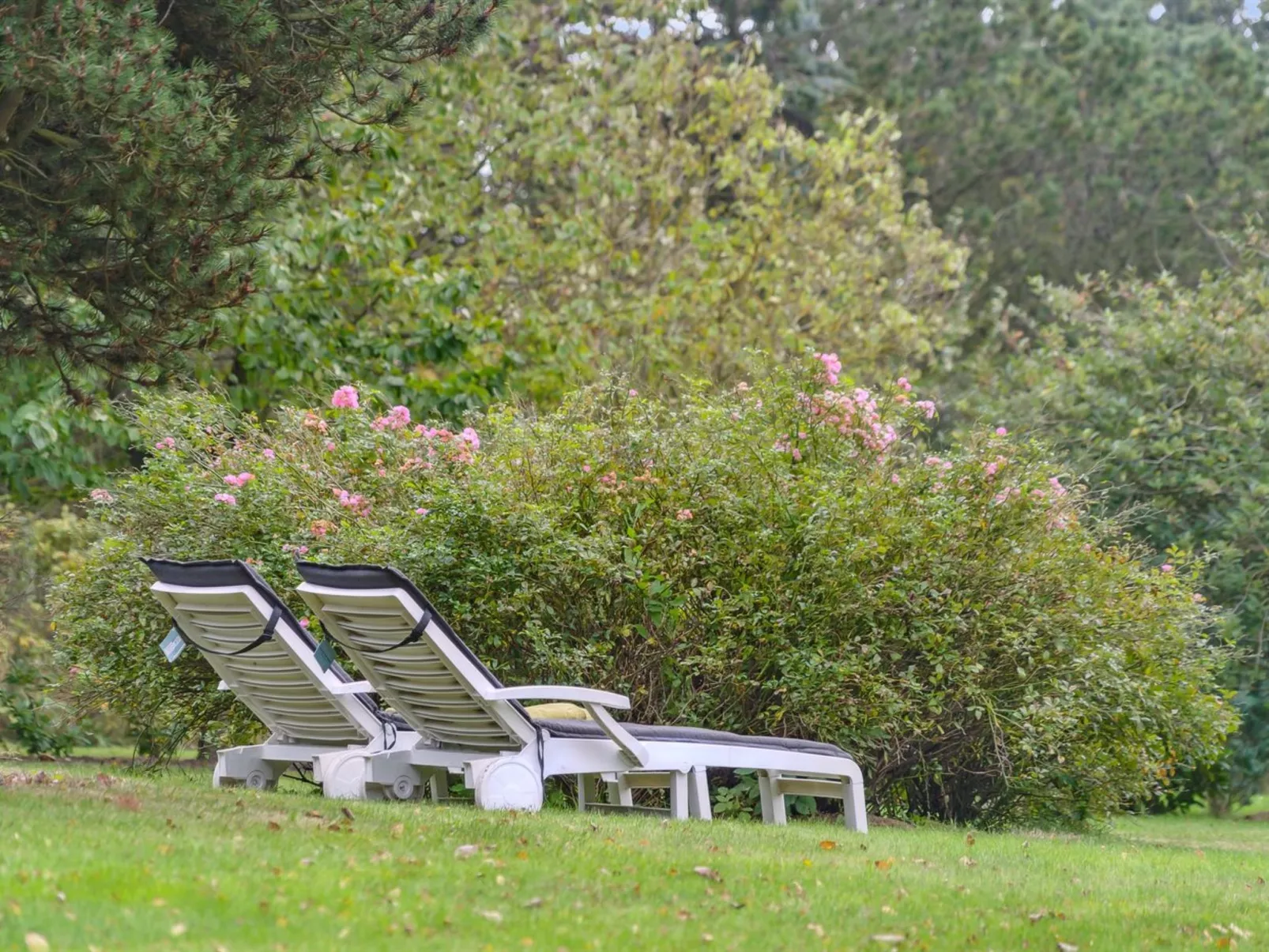 "Elisej" - 100m from the sea-Buiten