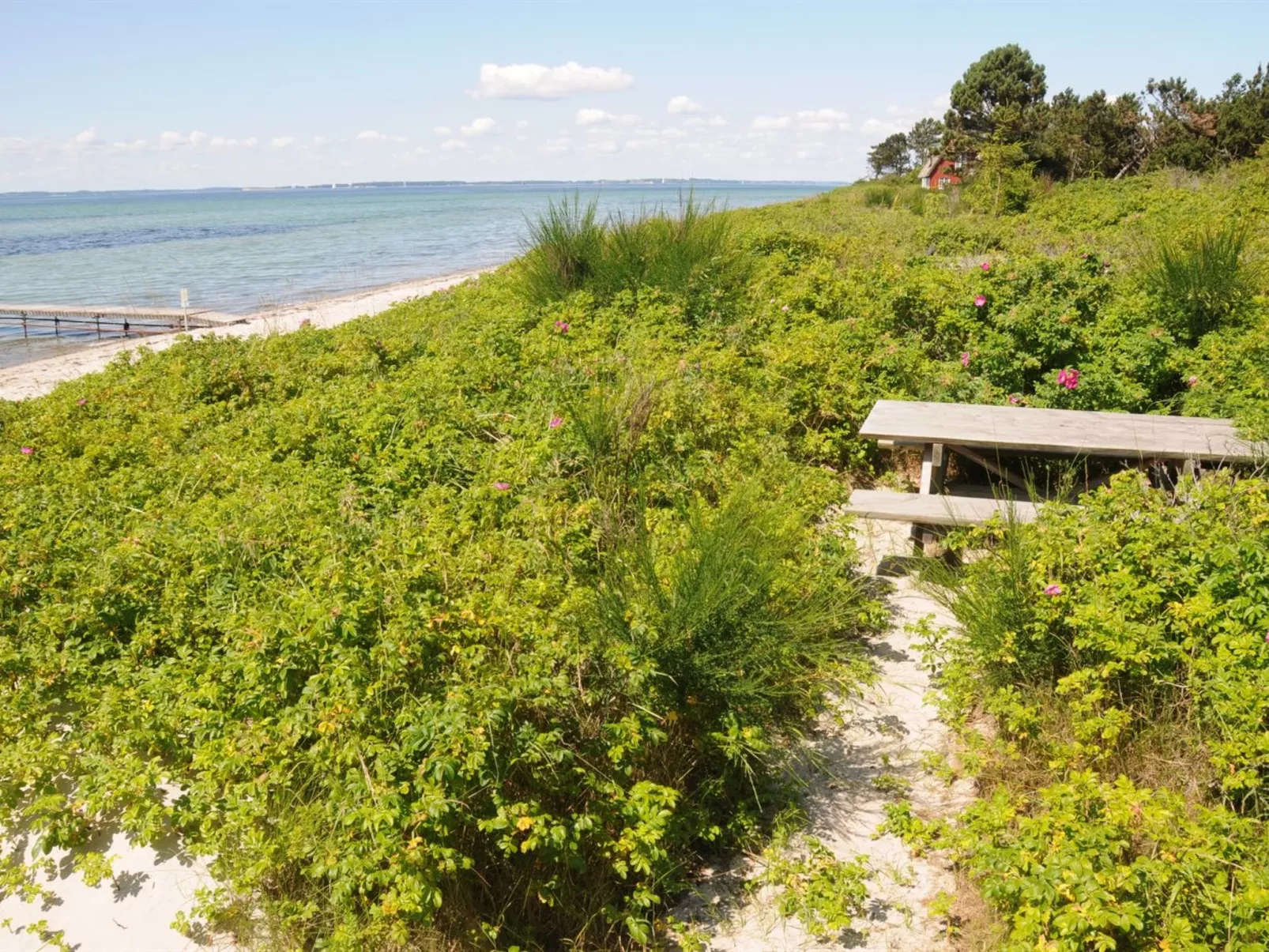 "Kalv" - 75m from the sea-Buiten