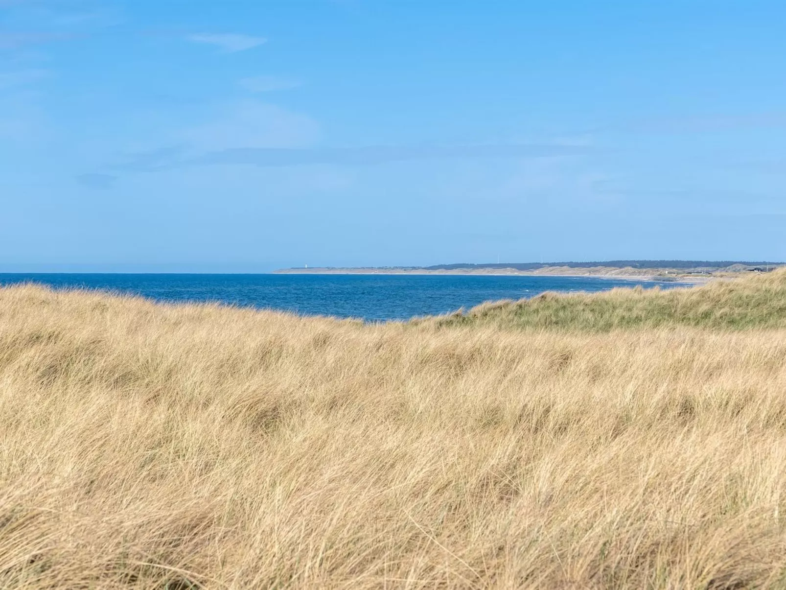 "Stintje" - 20m from the sea-Buiten