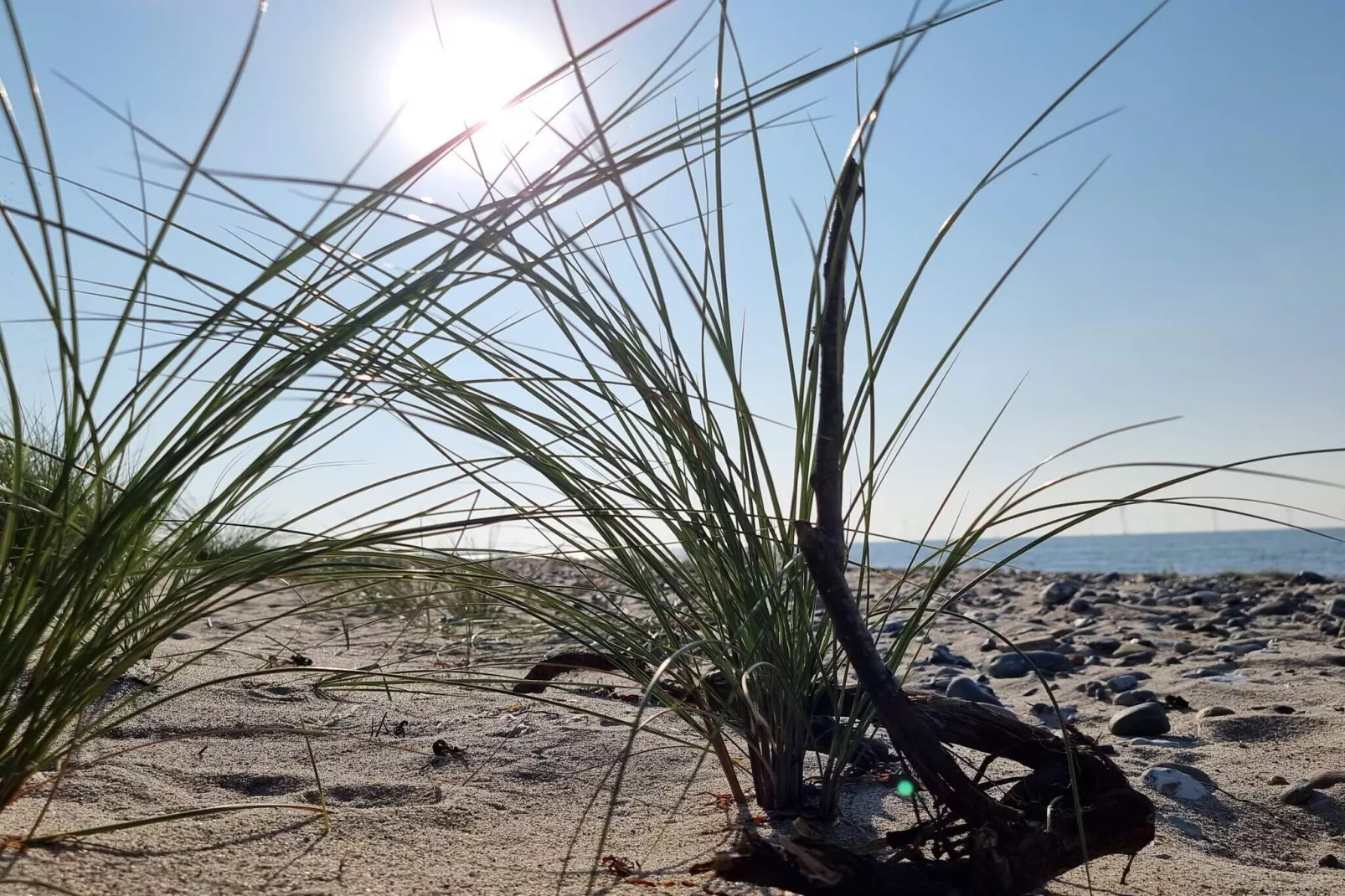 4 persoons vakantie huis in Rødby-By Traum-Waterzicht