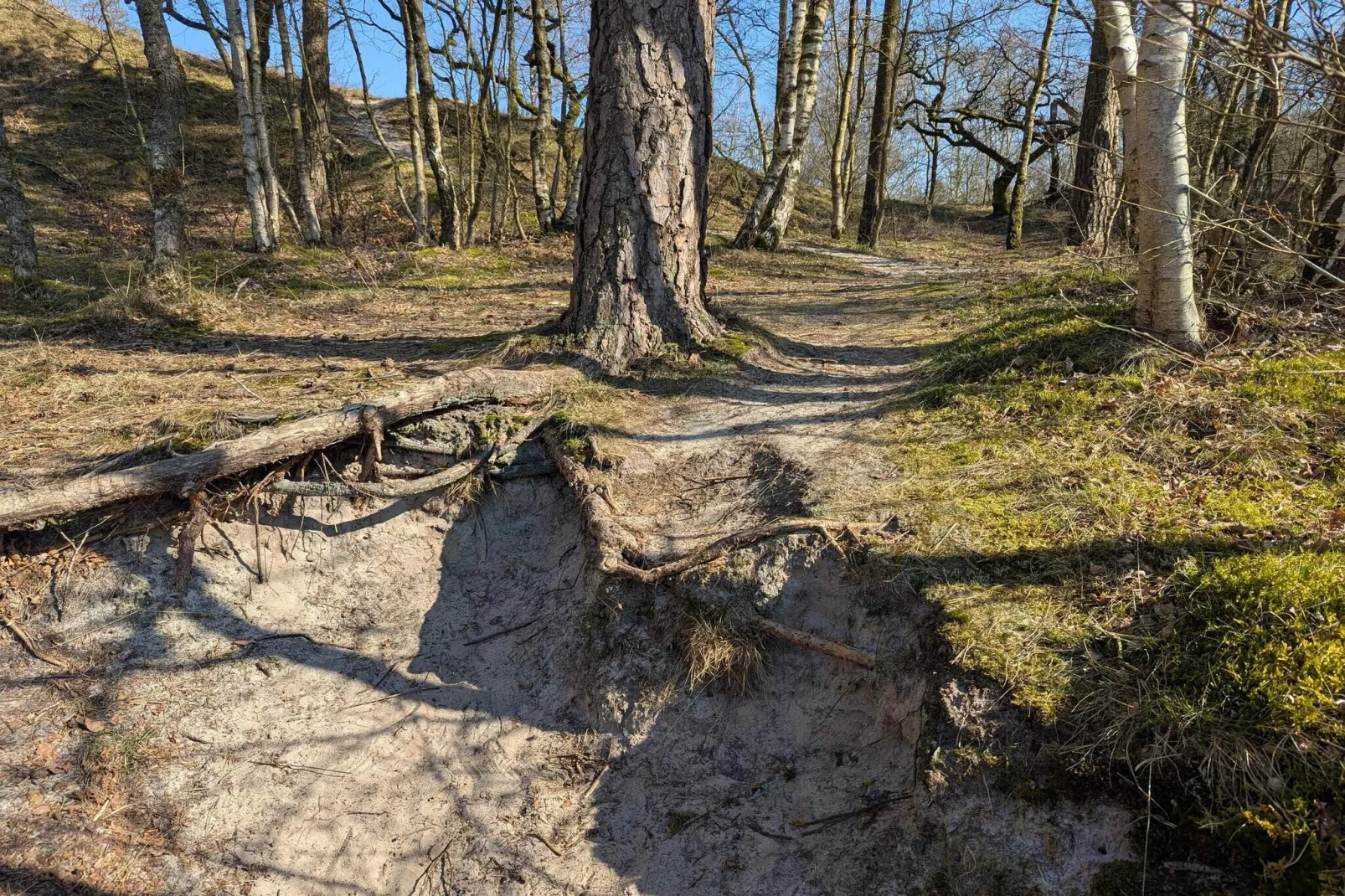 6 persoons vakantie huis in Henne-Niet-getagd