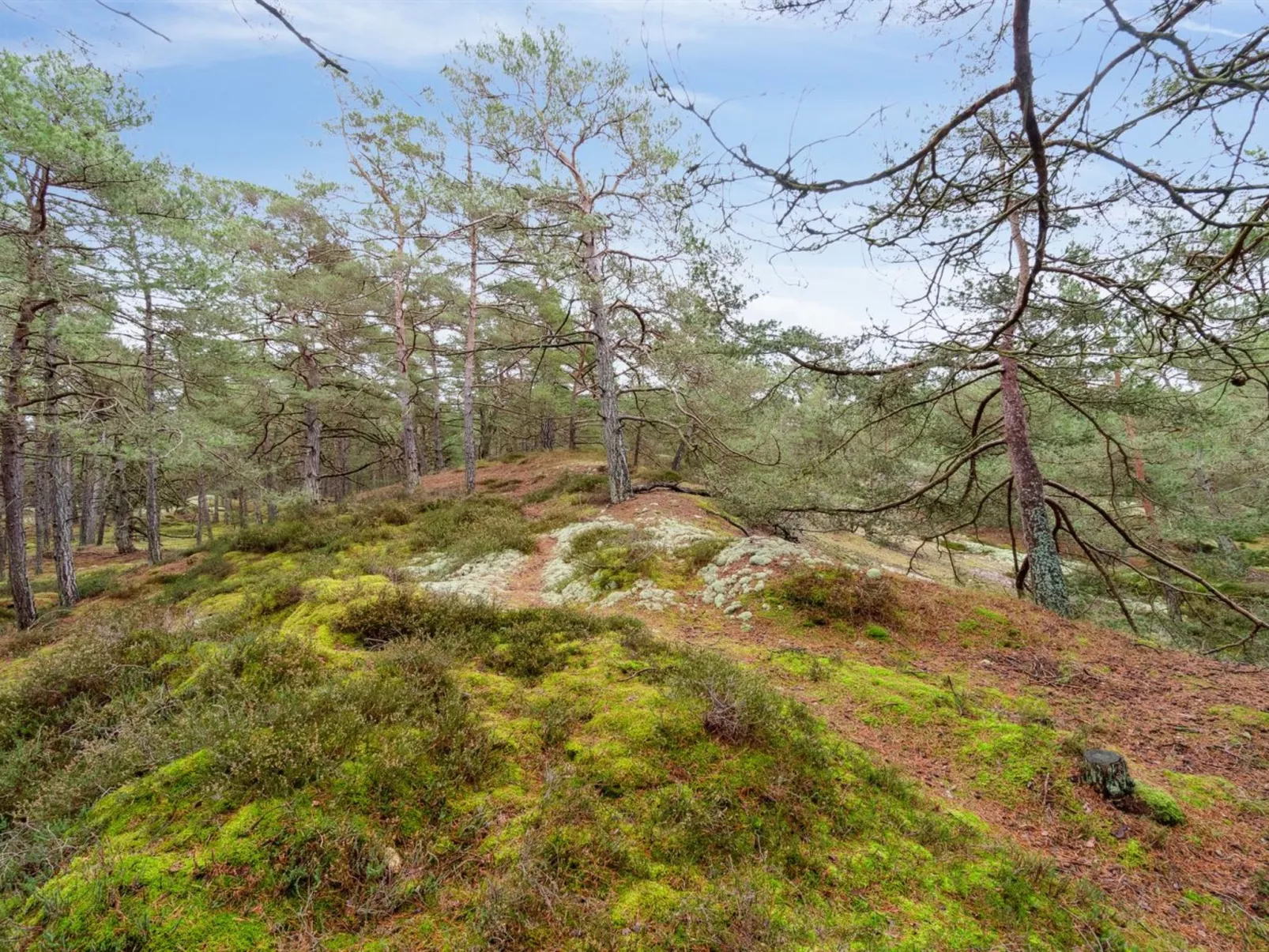 "Micaela" - 450m from the sea-Buiten