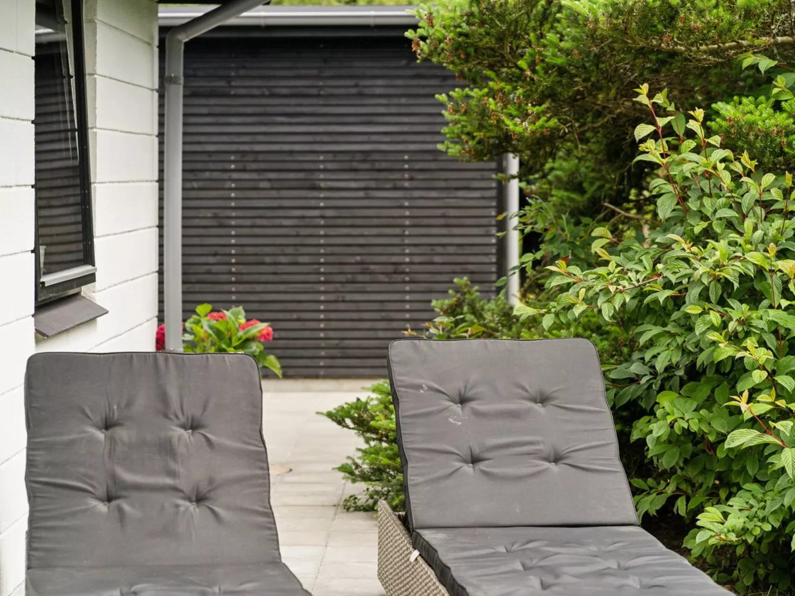 "Agnita" - 8km from the sea-Buiten