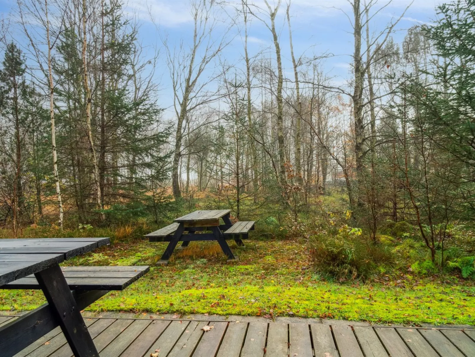 "Patrik" - 200m to the fjord-Buiten