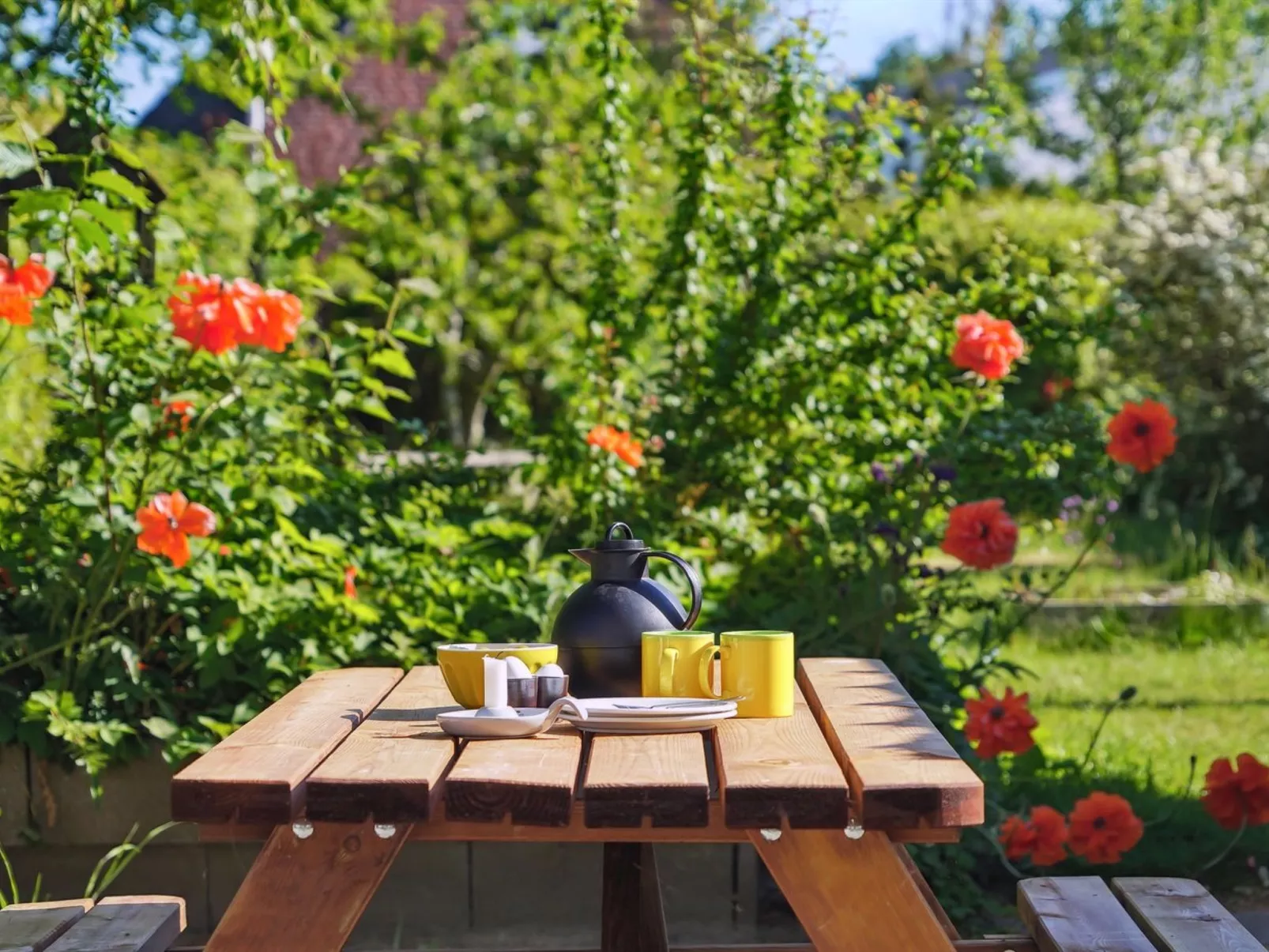 "Bartha" - 3km from the sea-Buiten