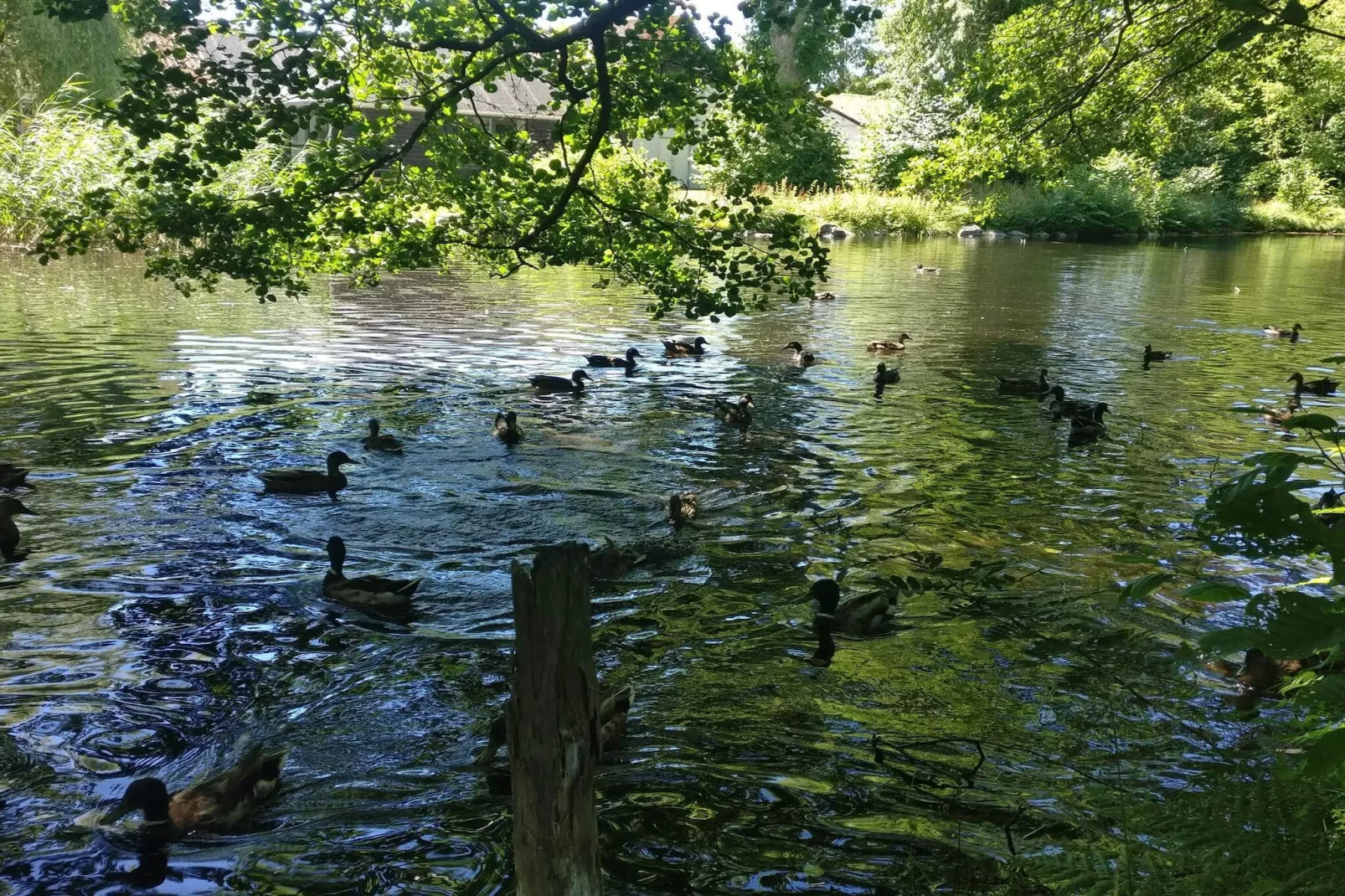 4 persoons vakantie huis in Hadsund-By Traum-Waterzicht