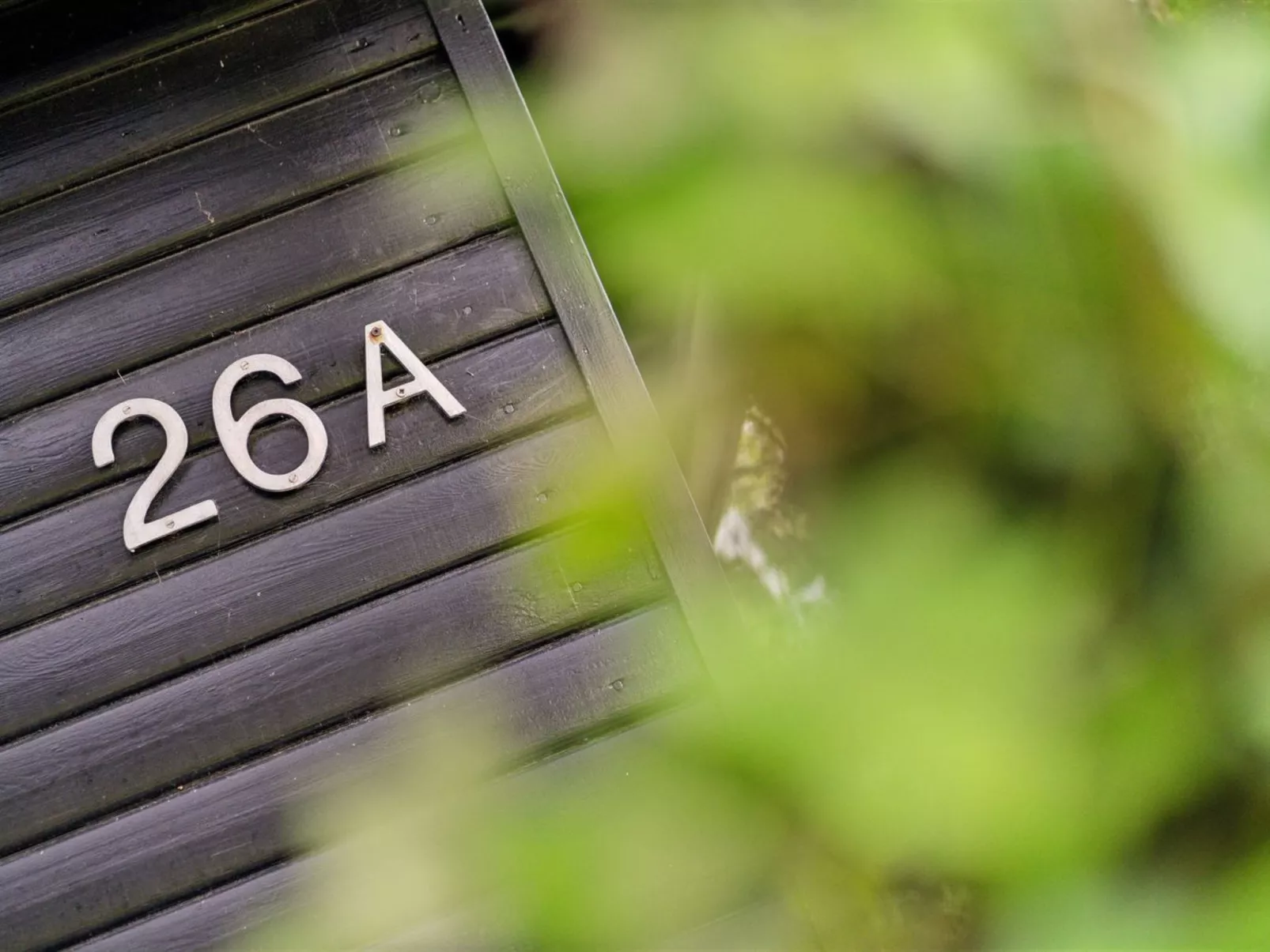 "Anthonette" - 900m from the sea-Buiten