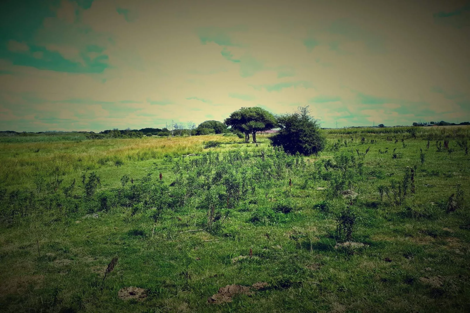 4 persoons vakantie huis in Bredebro-By Traum-Niet-getagd