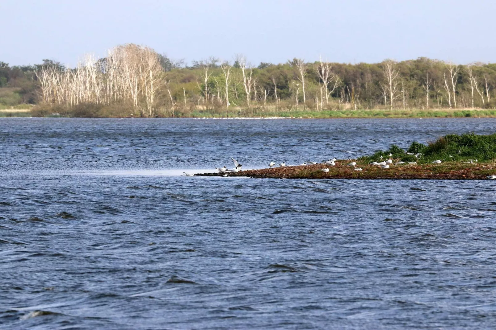 Kustsereniteit bij Henne Strand-By Traum-Waterzicht