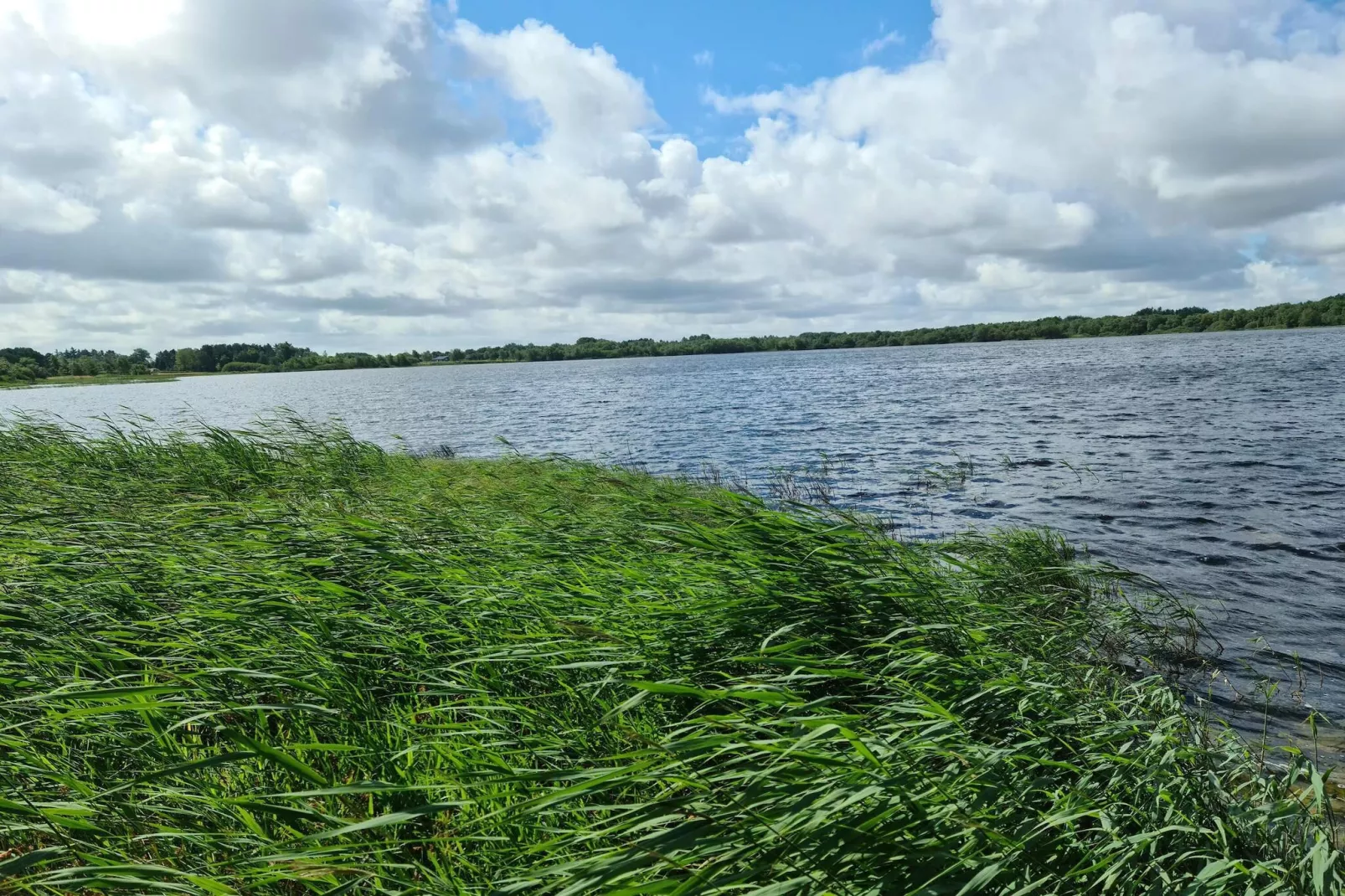 Rustieke Cottage nabij Kvie Lake-By Traum-Waterzicht