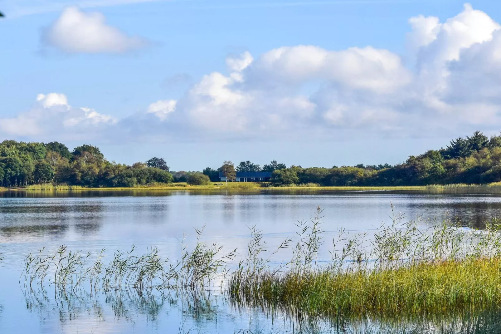 6 persoons vakantie huis in Ansager-Waterzicht